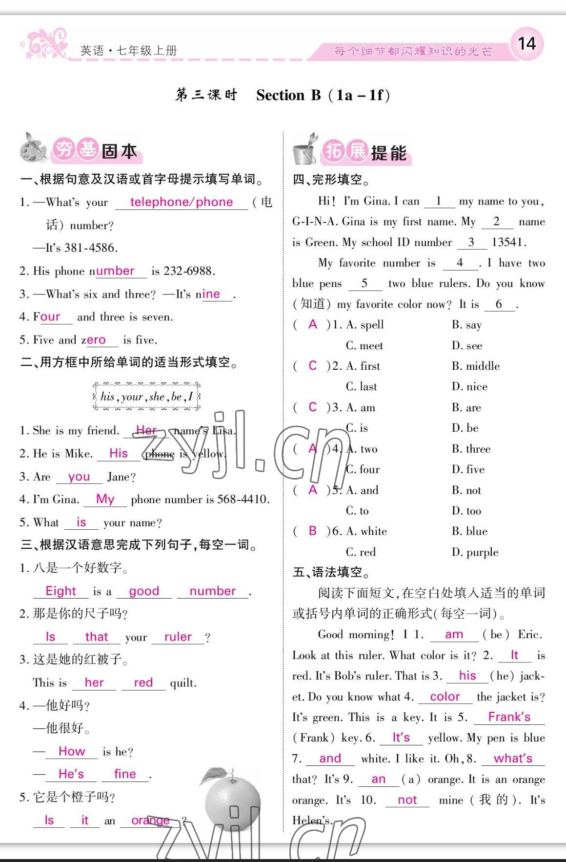 2023年課堂點(diǎn)睛七年級英語上冊人教版寧夏專版 參考答案第14頁