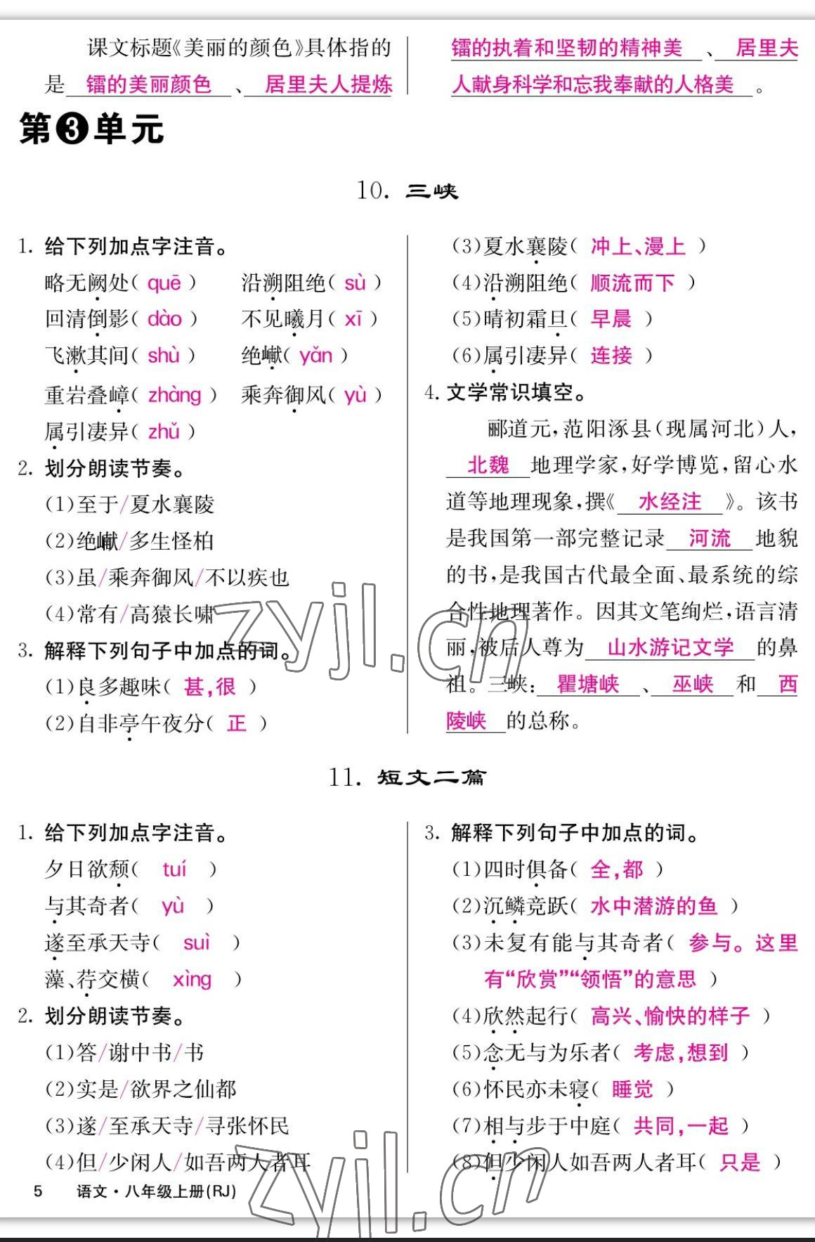 2023年課堂點睛八年級語文上冊人教版寧夏專版 參考答案第5頁