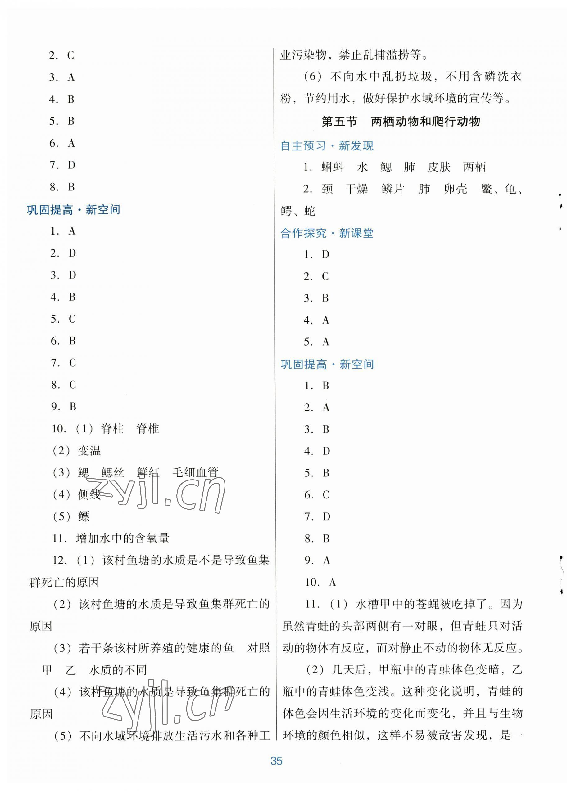 2023年南方新課堂金牌學(xué)案八年級(jí)生物學(xué)上冊(cè)人教版 第3頁