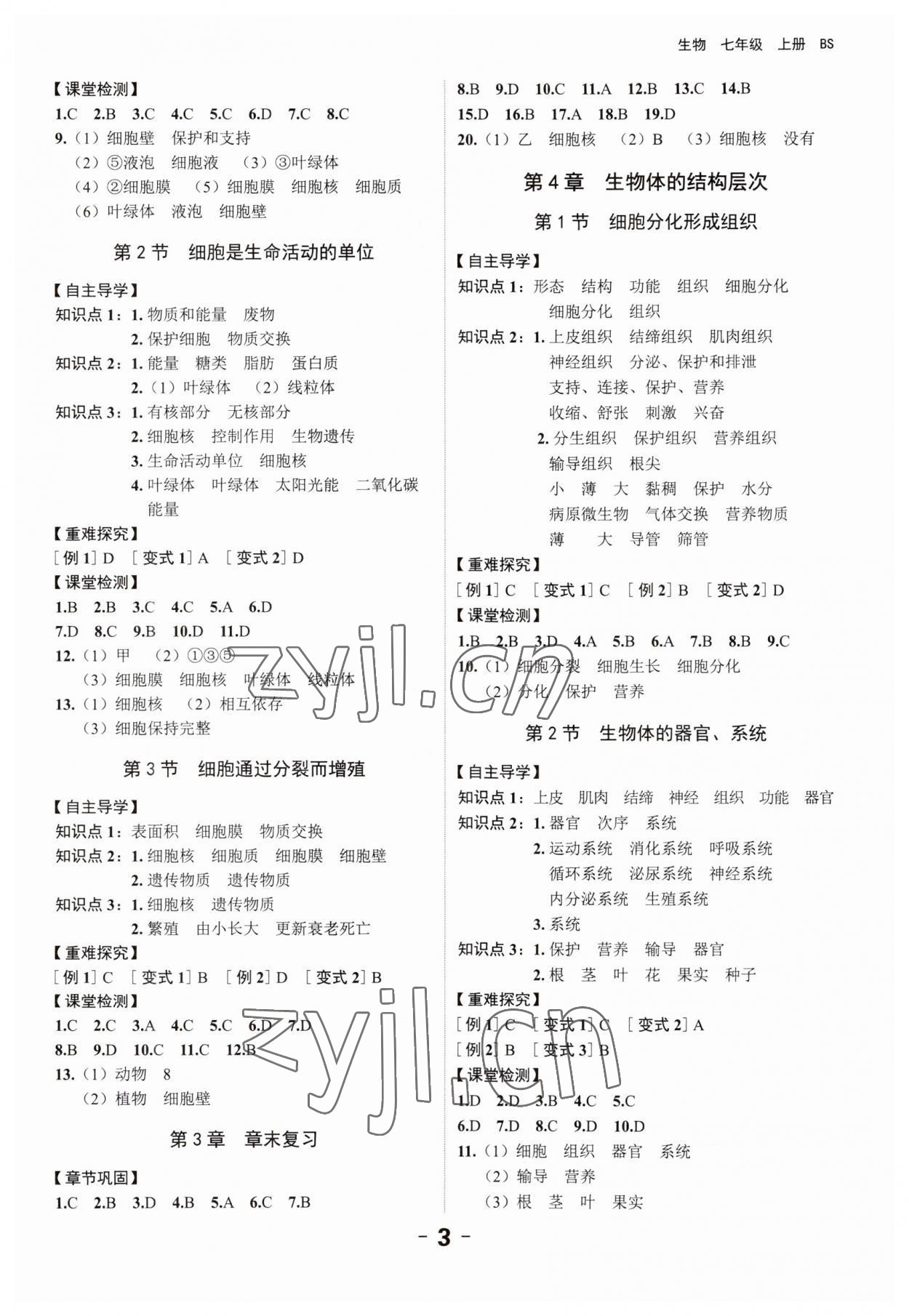 2023年全程突破七年級(jí)生物上冊(cè)北師大版 第3頁(yè)