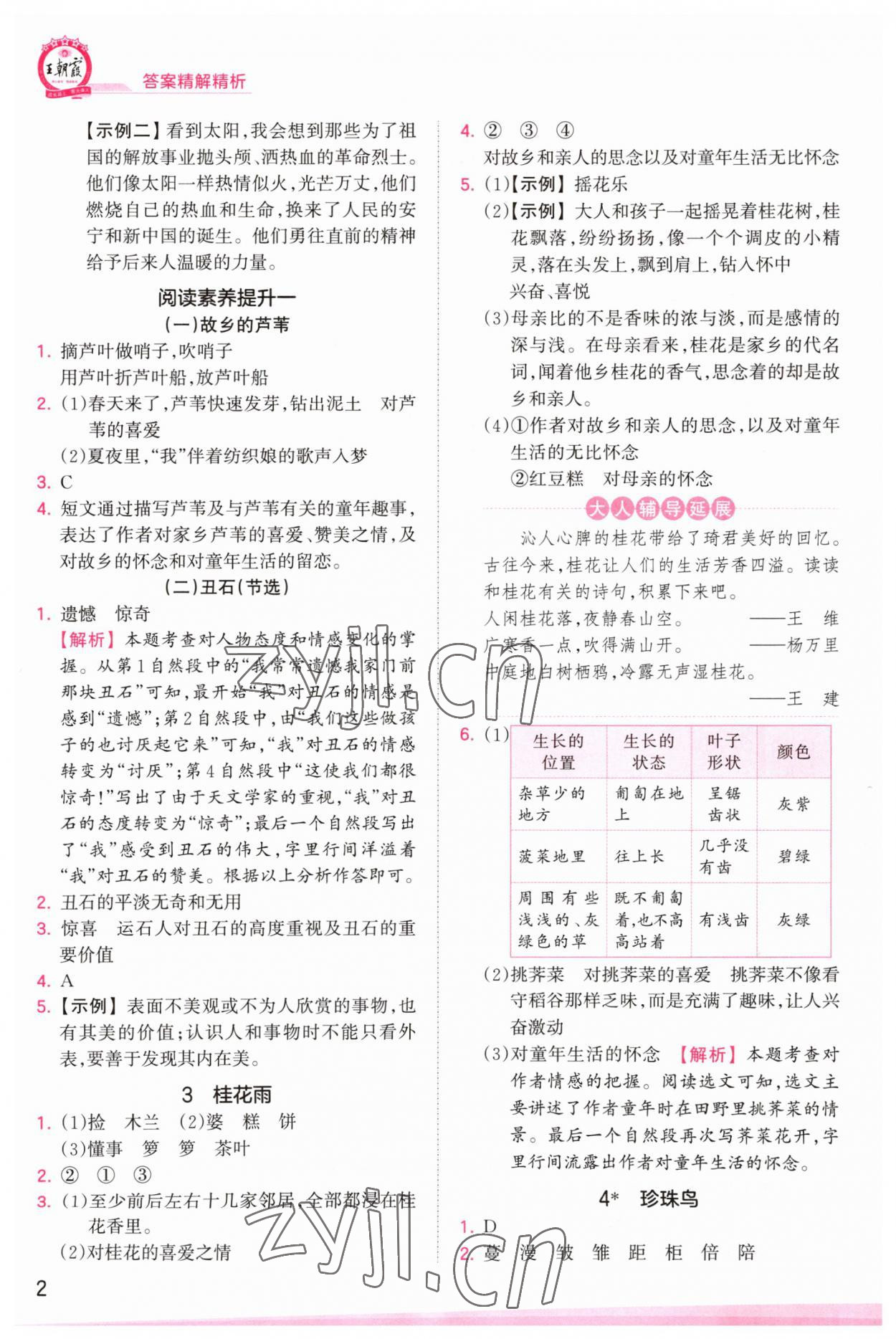 2023年創(chuàng)維新課堂五年級(jí)語文上冊(cè)人教版 第2頁