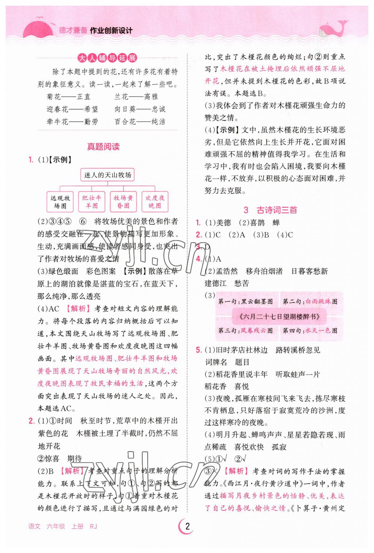 2023年王朝霞德才兼?zhèn)渥鳂I(yè)創(chuàng)新設(shè)計六年級語文上冊人教版 第2頁