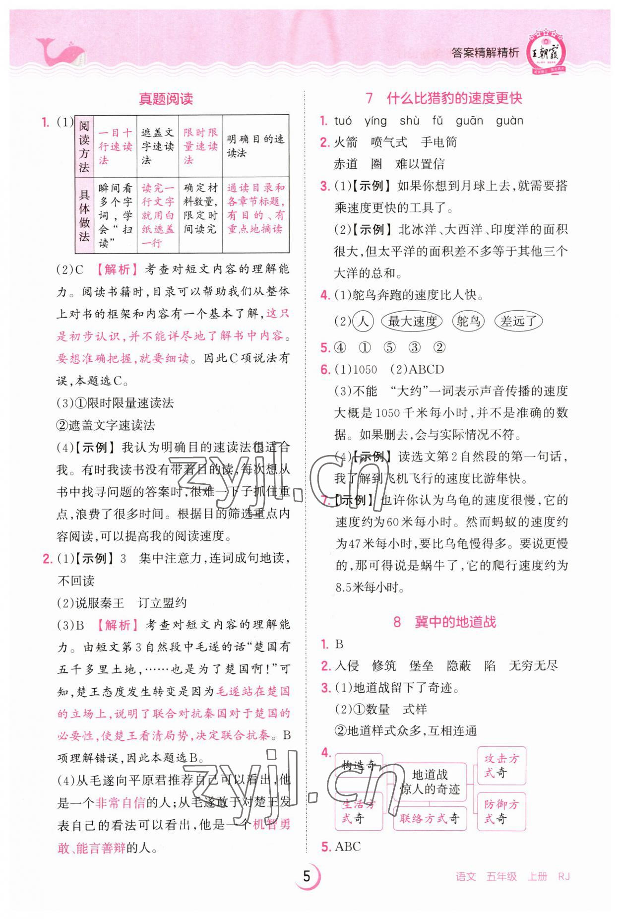 2023年王朝霞德才兼?zhèn)渥鳂I(yè)創(chuàng)新設計五年級語文上冊人教版 第5頁