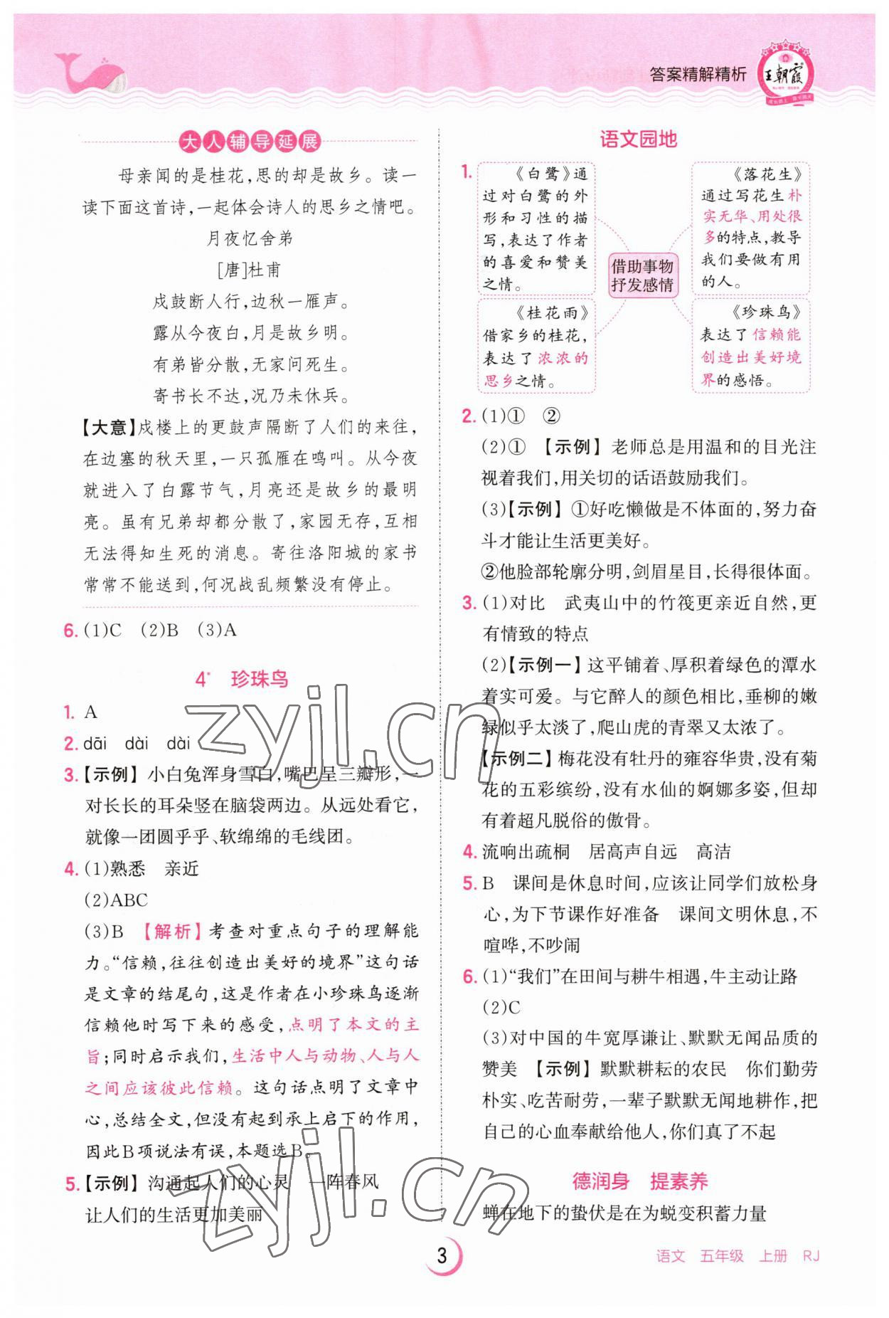 2023年王朝霞德才兼?zhèn)渥鳂I(yè)創(chuàng)新設(shè)計(jì)五年級(jí)語(yǔ)文上冊(cè)人教版 第3頁(yè)