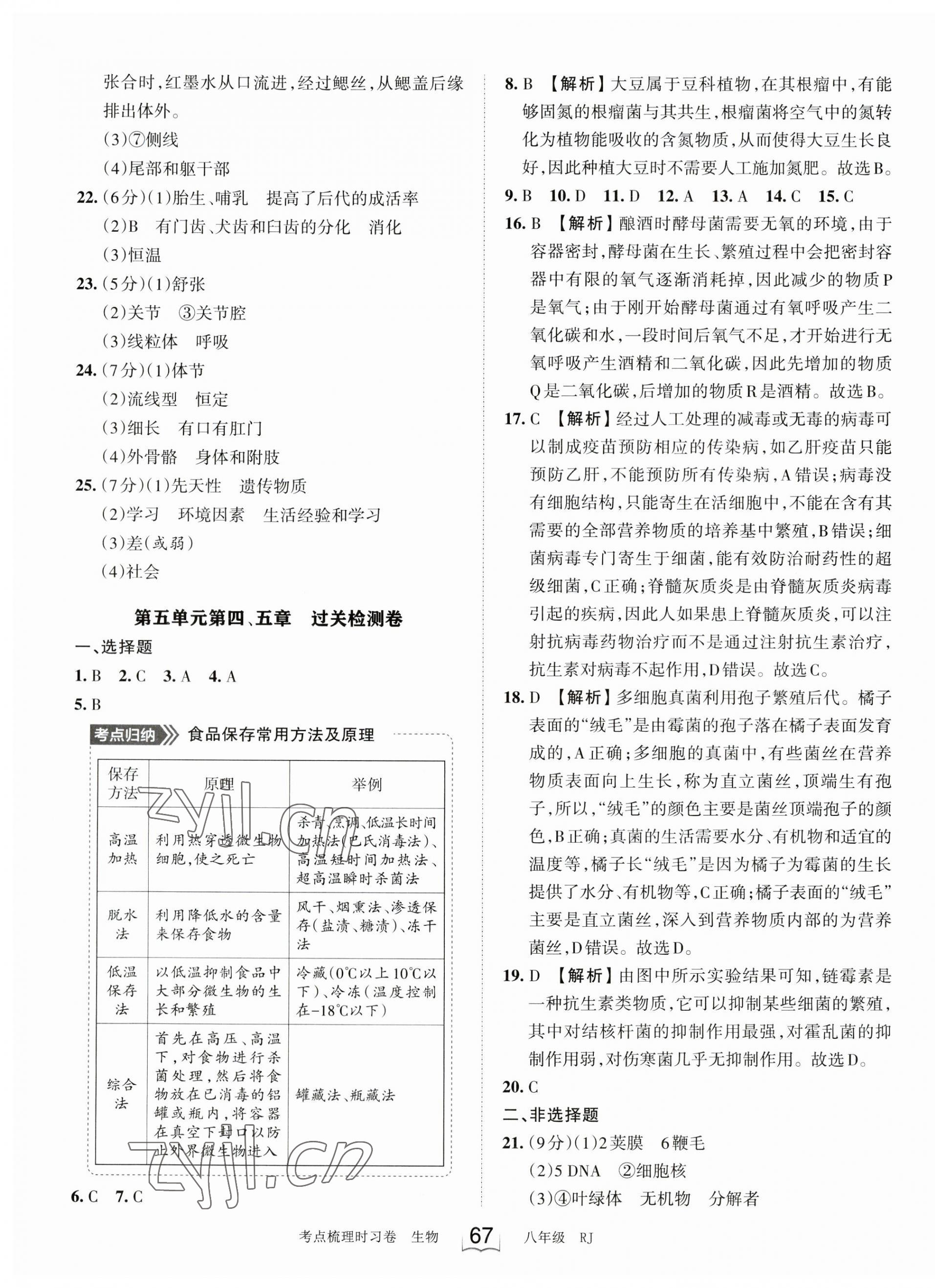 2023年王朝霞考點梳理時習卷八年級生物上冊人教版 第3頁