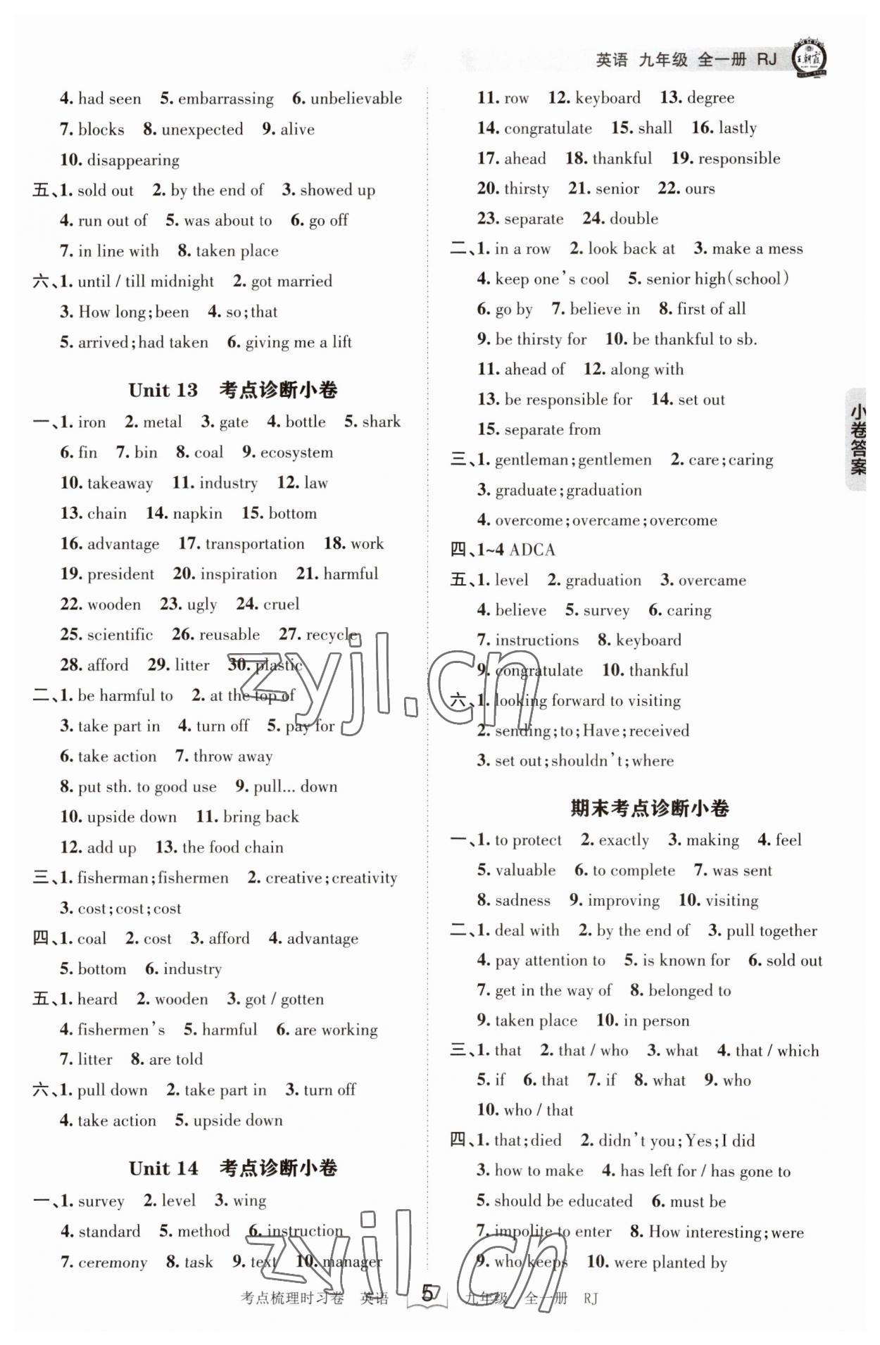 2023年王朝霞考點(diǎn)梳理時(shí)習(xí)卷九年級(jí)英語全一冊人教版 參考答案第5頁