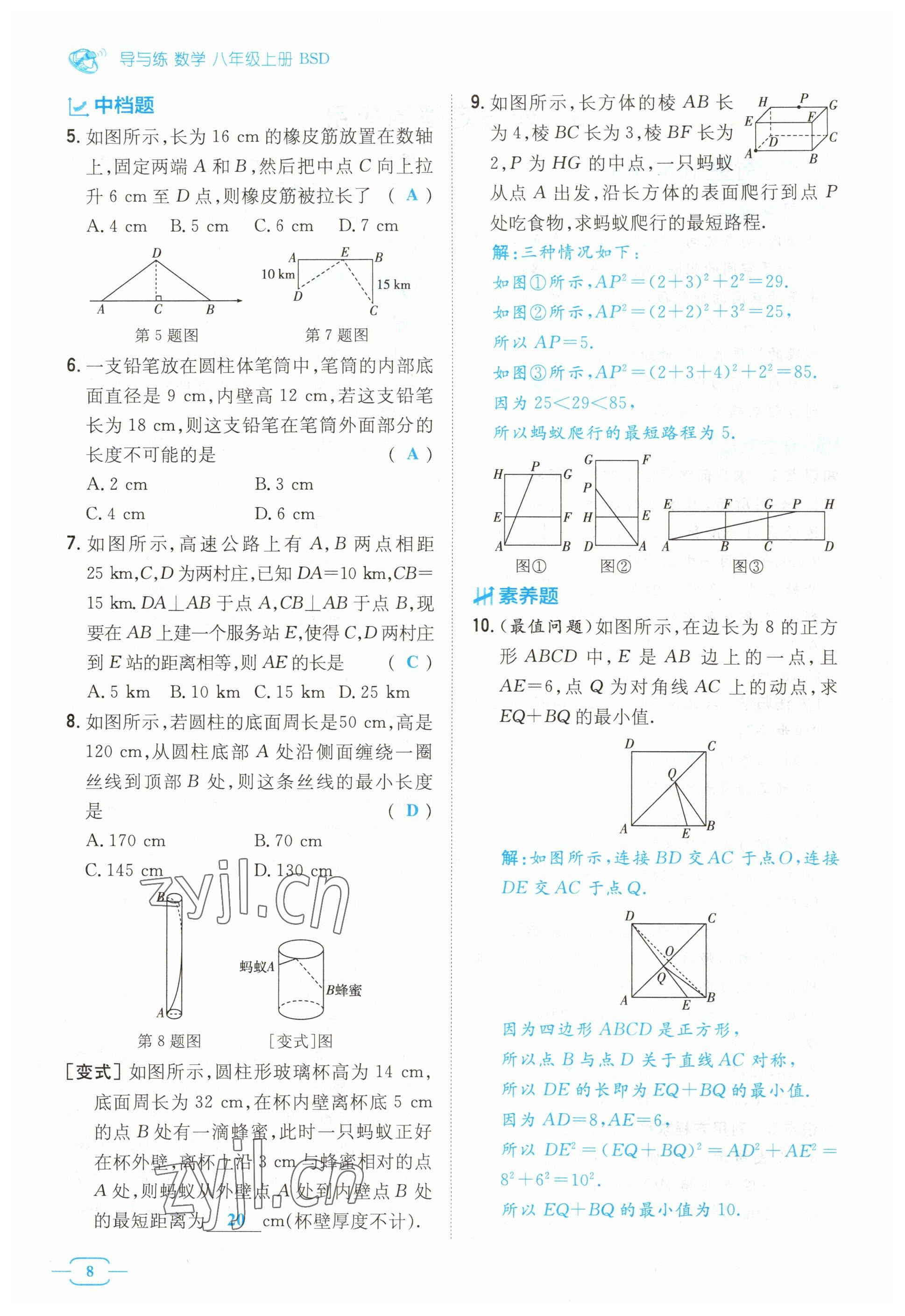 2023年導(dǎo)與練八年級數(shù)學上冊北師大版貴州專版 參考答案第8頁