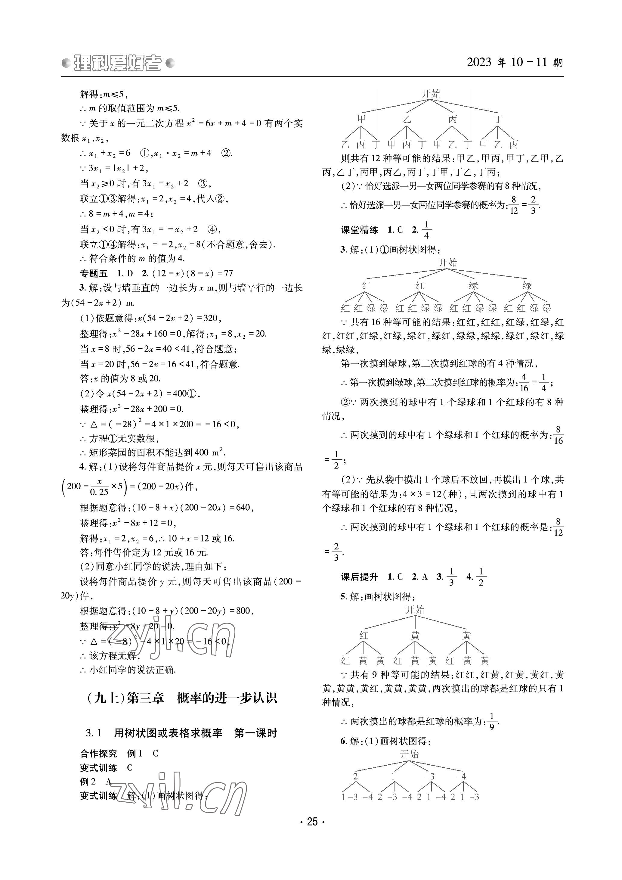 2023年理科爱好者九年级数学全一册北师大版 参考答案第24页