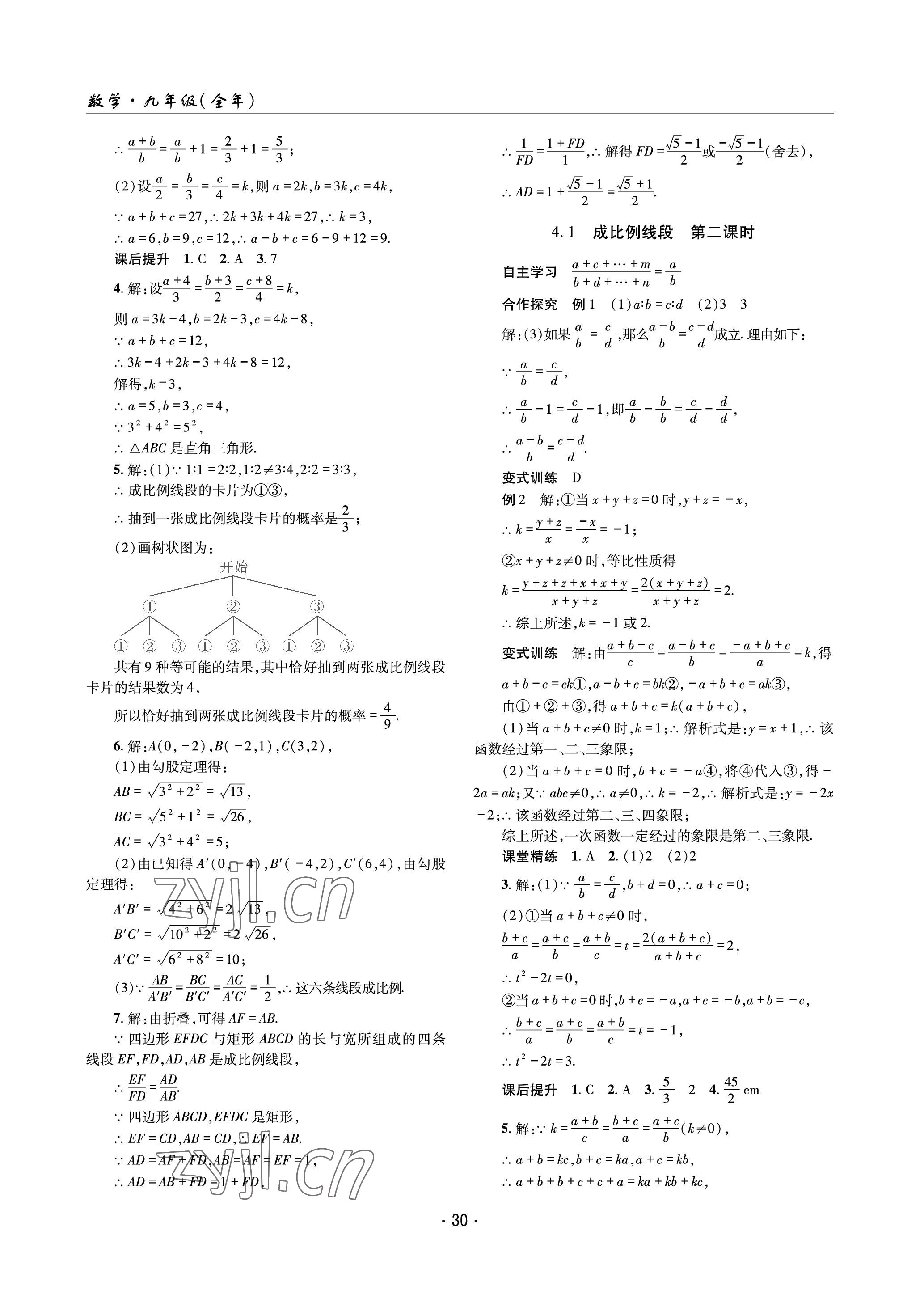 2023年理科爱好者九年级数学全一册北师大版 参考答案第29页