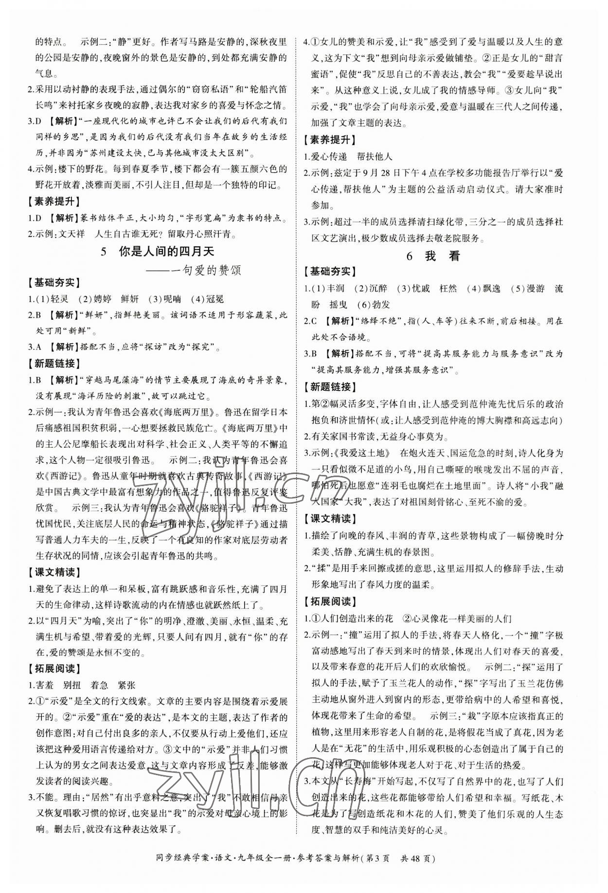 2023年同步經(jīng)典學(xué)案九年級語文全一冊人教版 第3頁