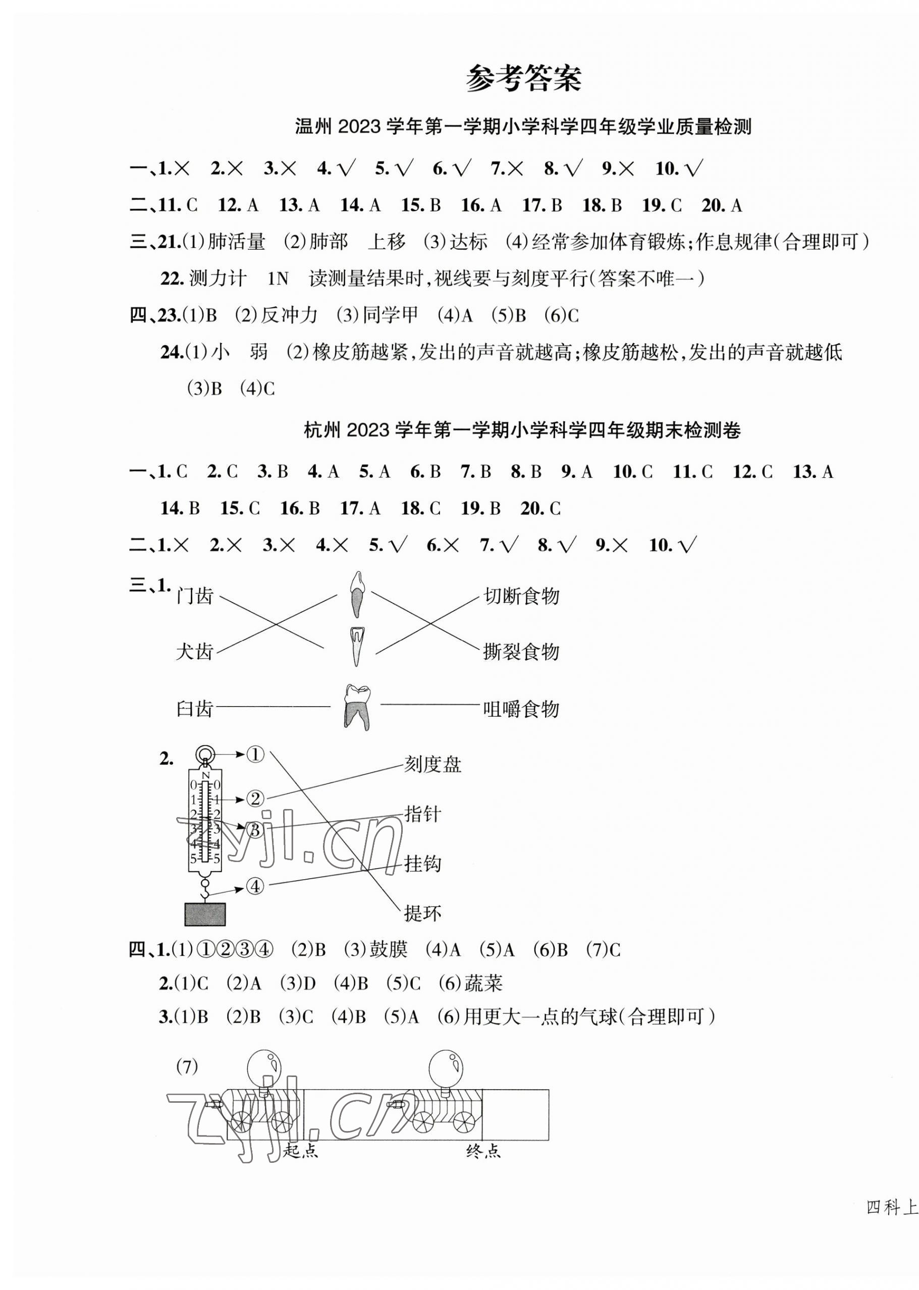 2023年名師面對面先學(xué)后練四年級科學(xué)上冊教科版 第4頁