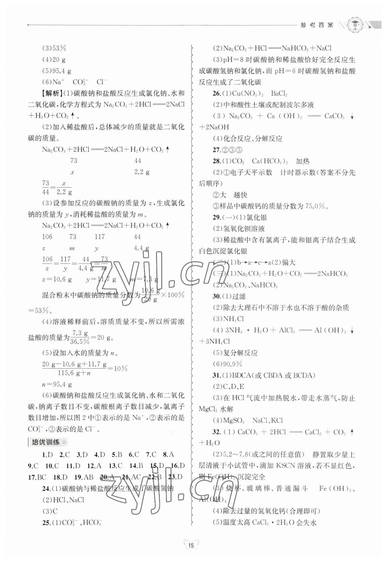 2023年重点中学与你有约九年级数学全一册华师大版 第15页