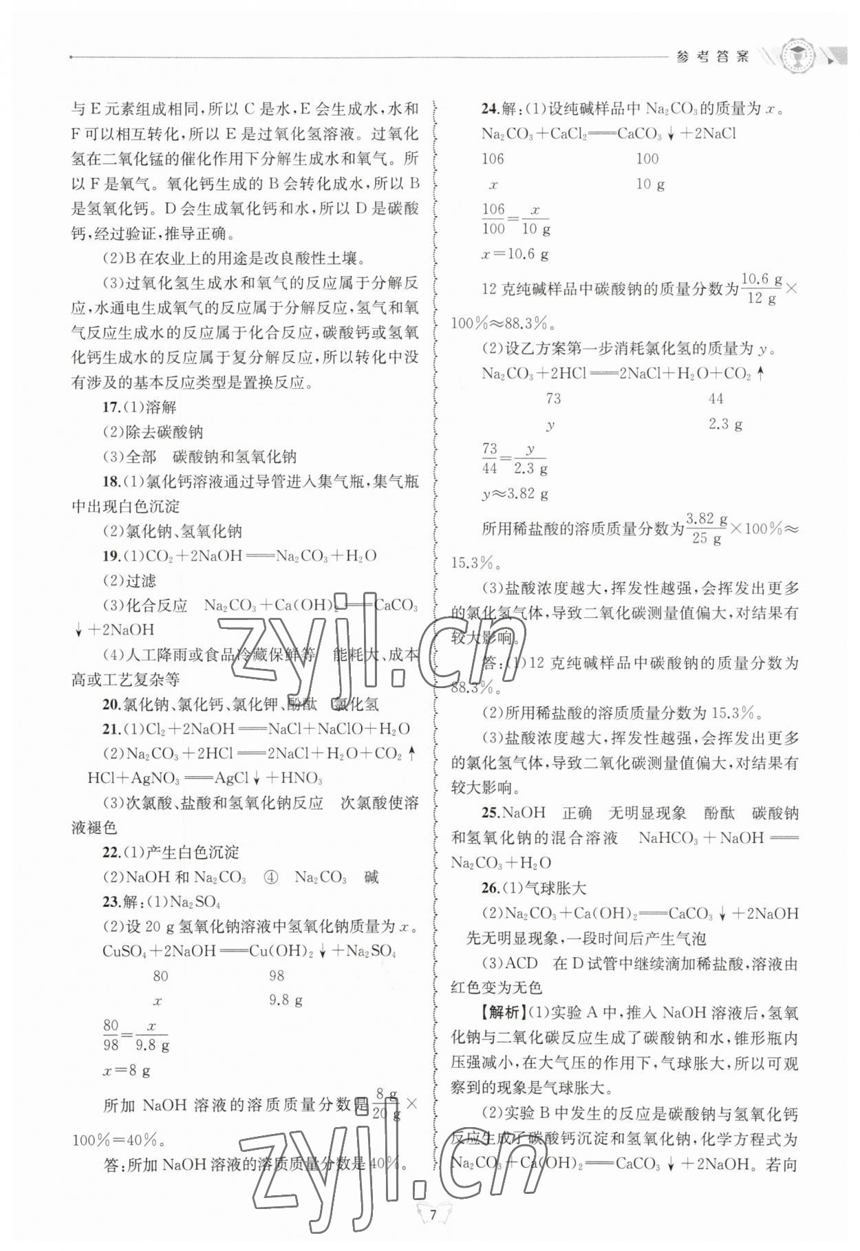 2023年重点中学与你有约九年级数学全一册华师大版 第7页