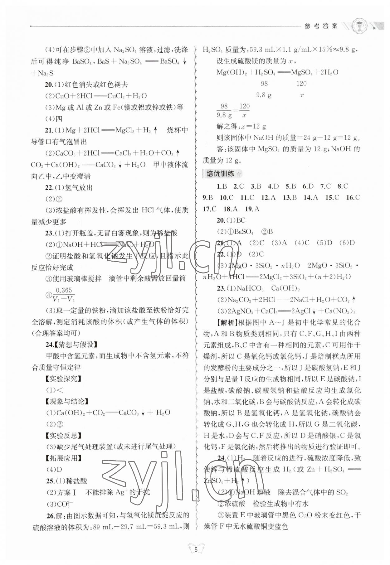 2023年重点中学与你有约九年级数学全一册华师大版 第5页