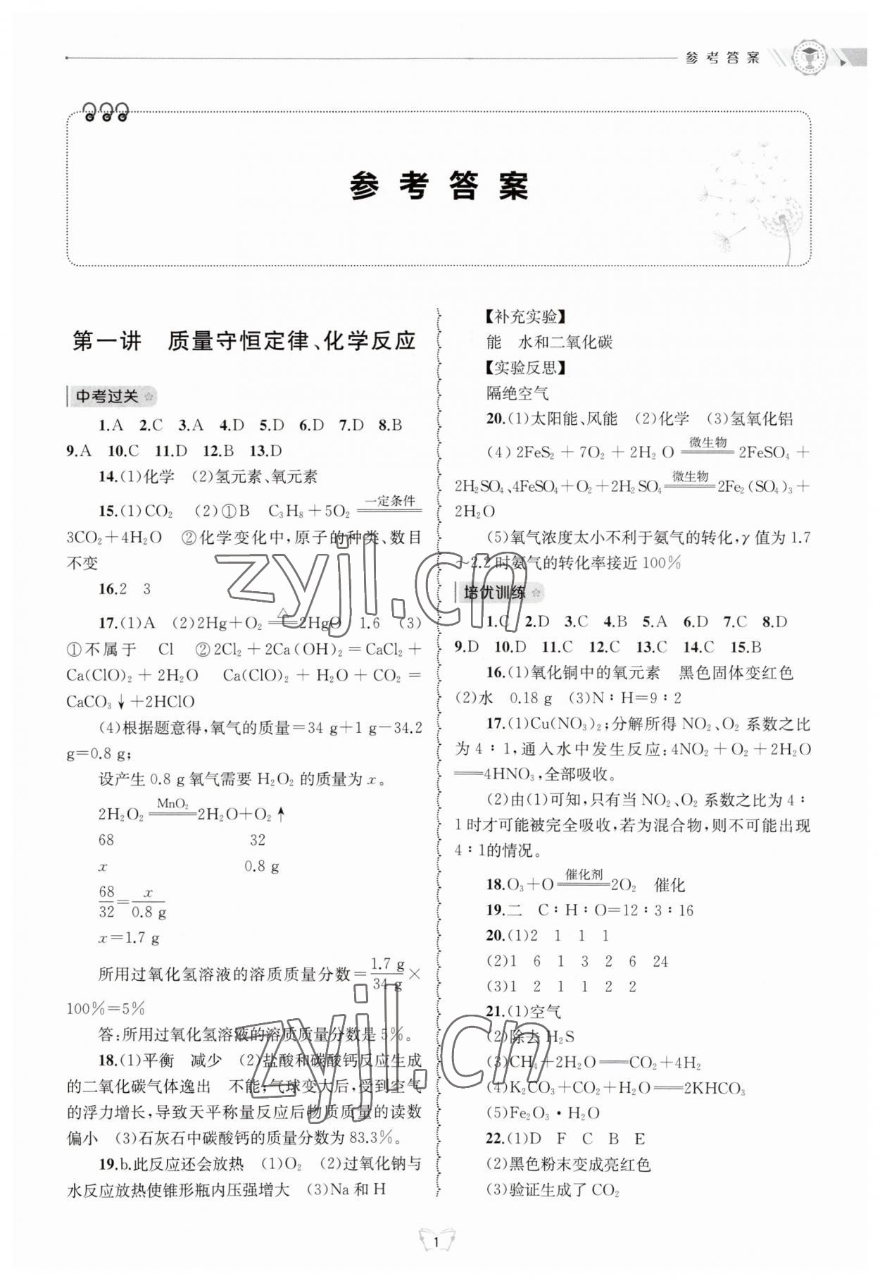 2023年重点中学与你有约九年级数学全一册华师大版 第1页