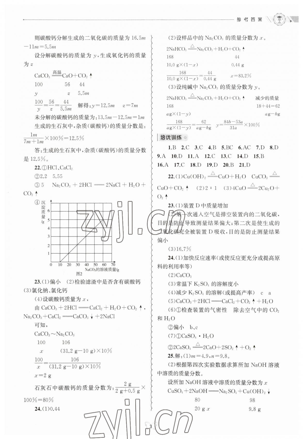 2023年重点中学与你有约九年级数学全一册华师大版 第3页