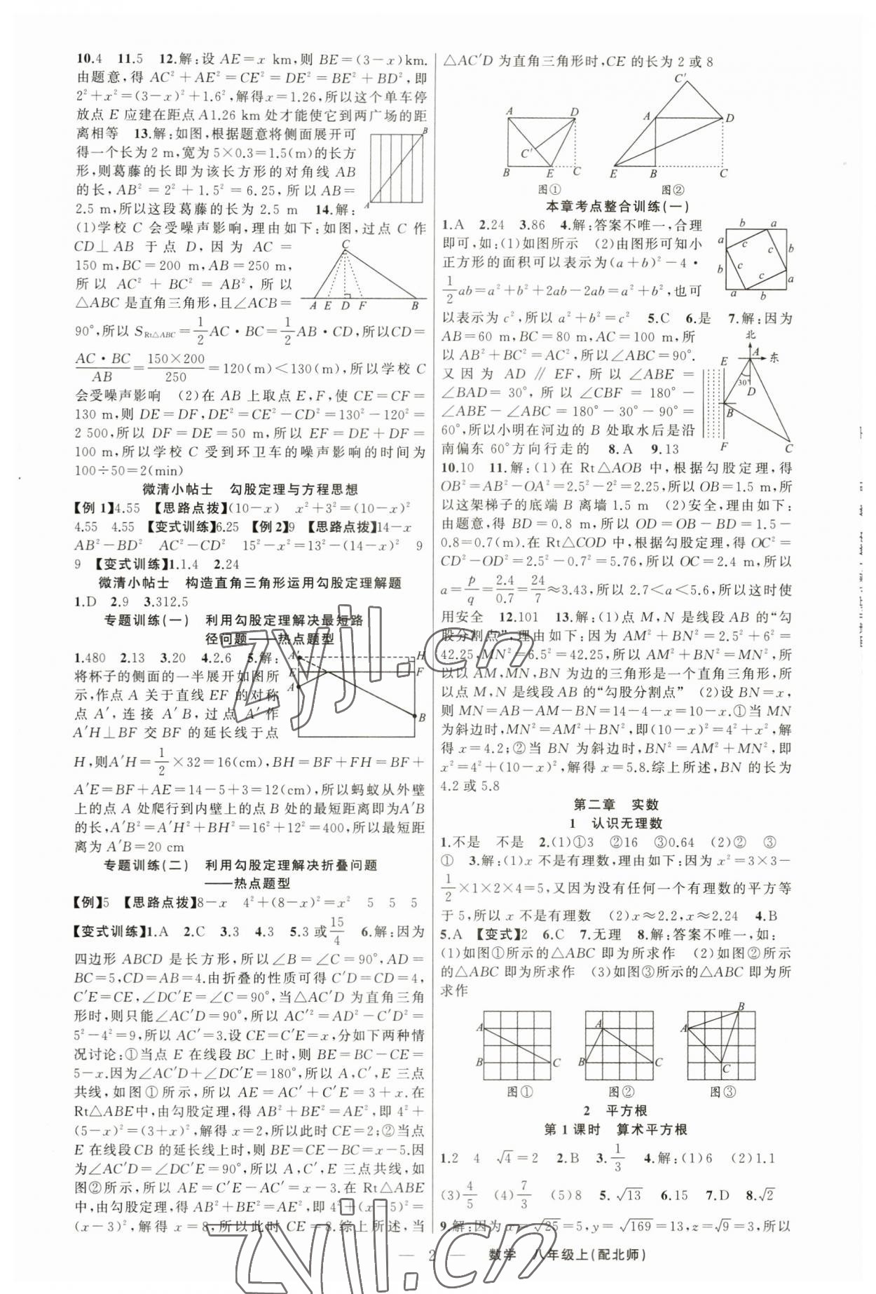 2023年四清導航八年級數(shù)學上冊北師大版 第2頁