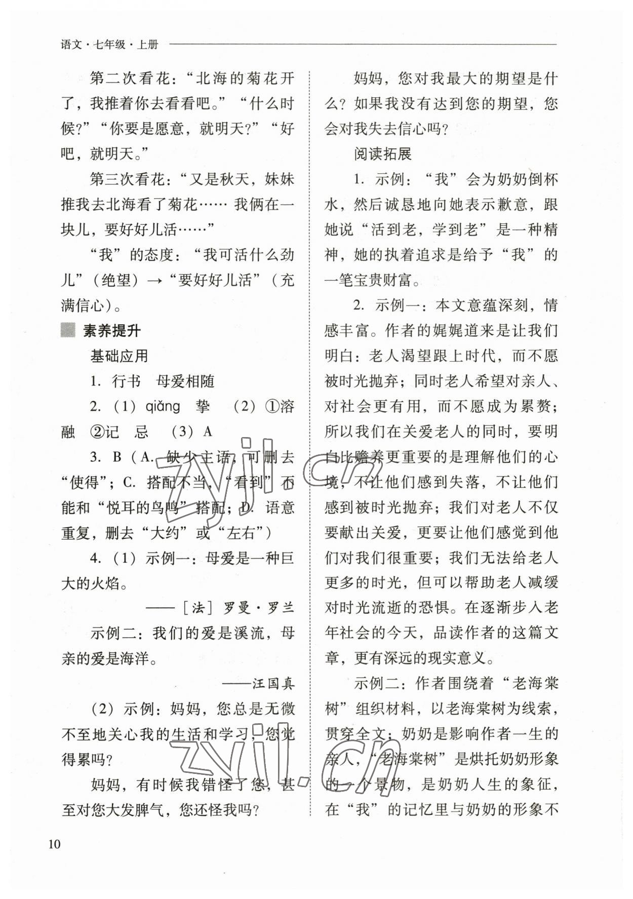 2023年新課程問題解決導(dǎo)學(xué)方案七年級語文上冊人教版 參考答案第10頁