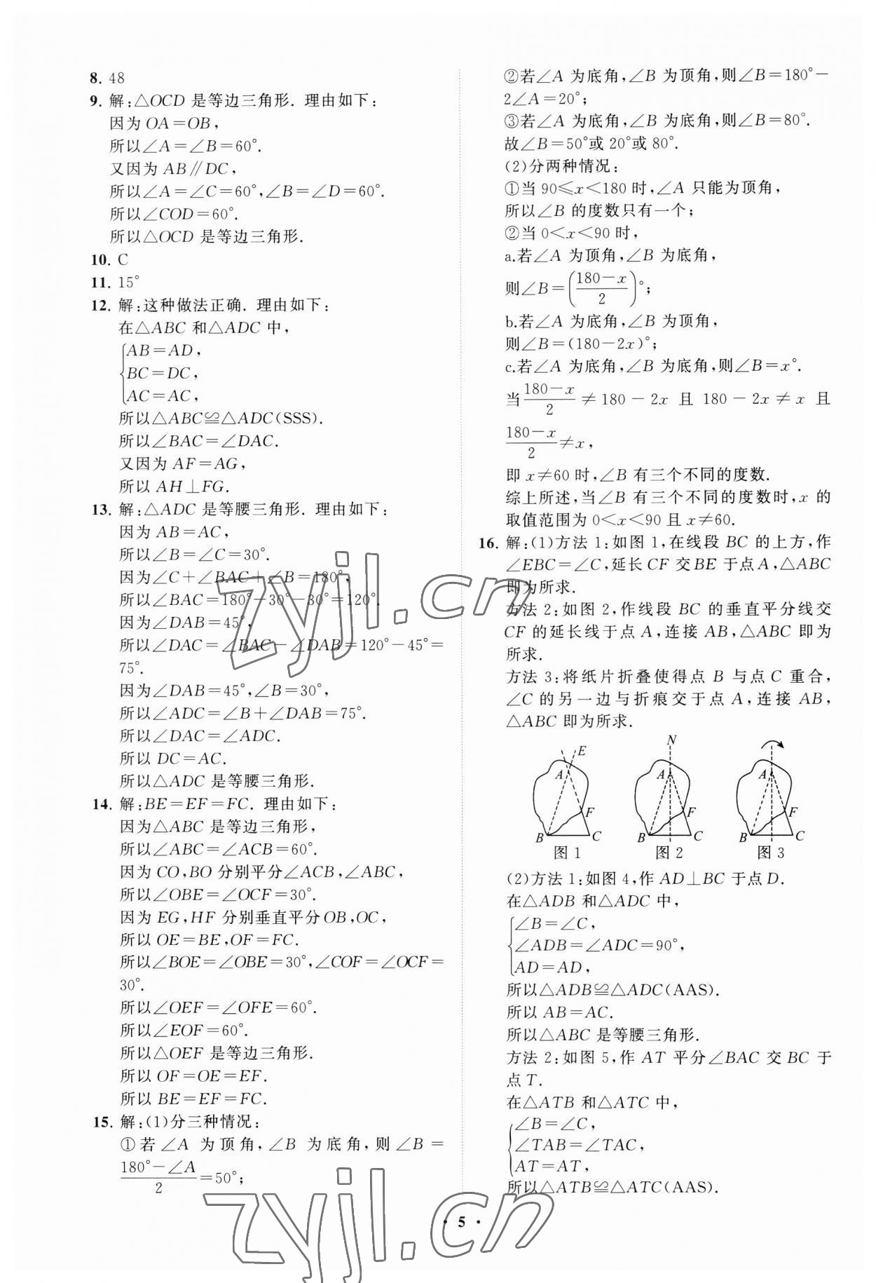 2023年同步练习册分层卷八年级数学上册青岛版 第5页