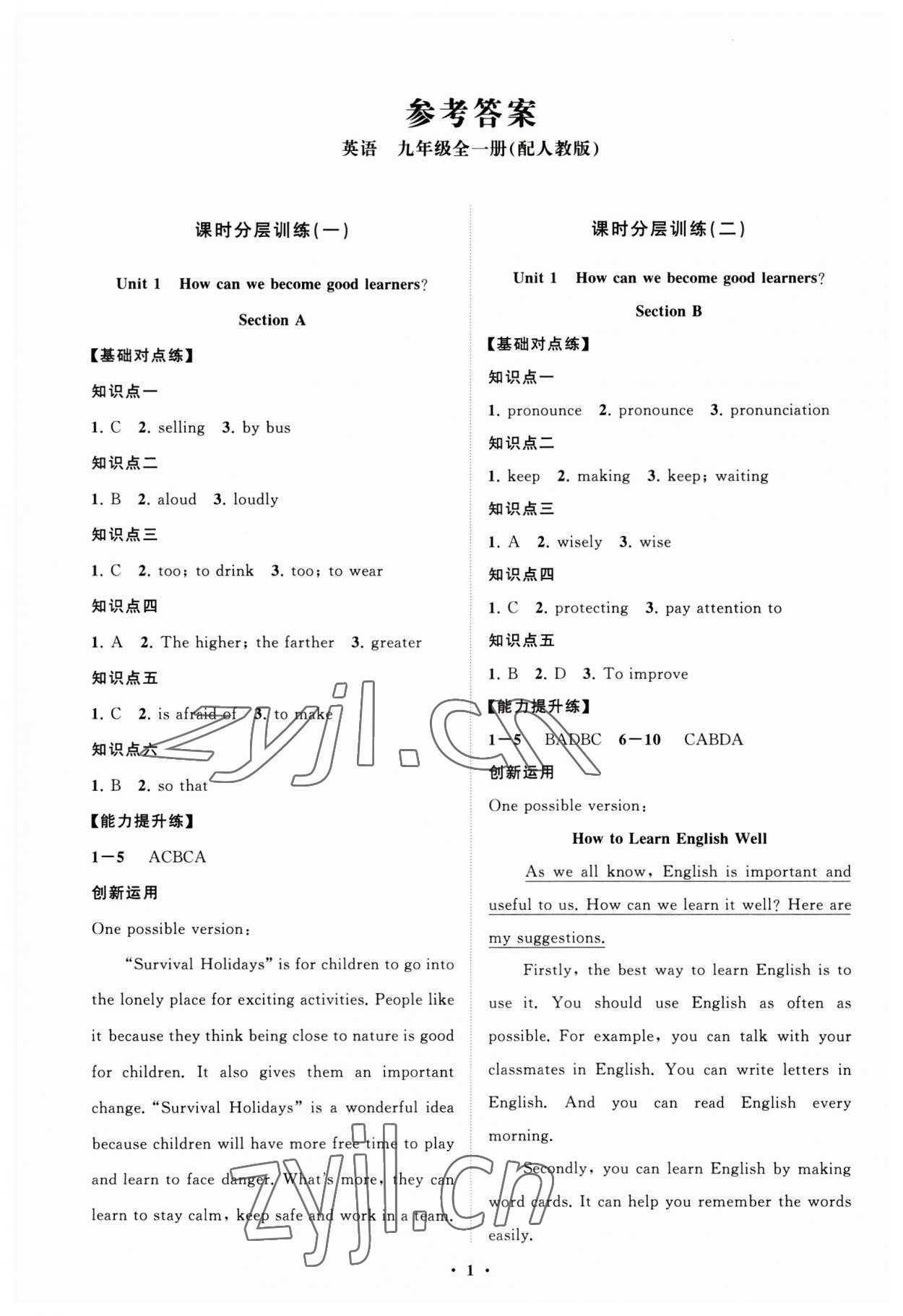 2023年同步練習(xí)冊(cè)分層卷九年級(jí)英語全一冊(cè)人教版 第1頁