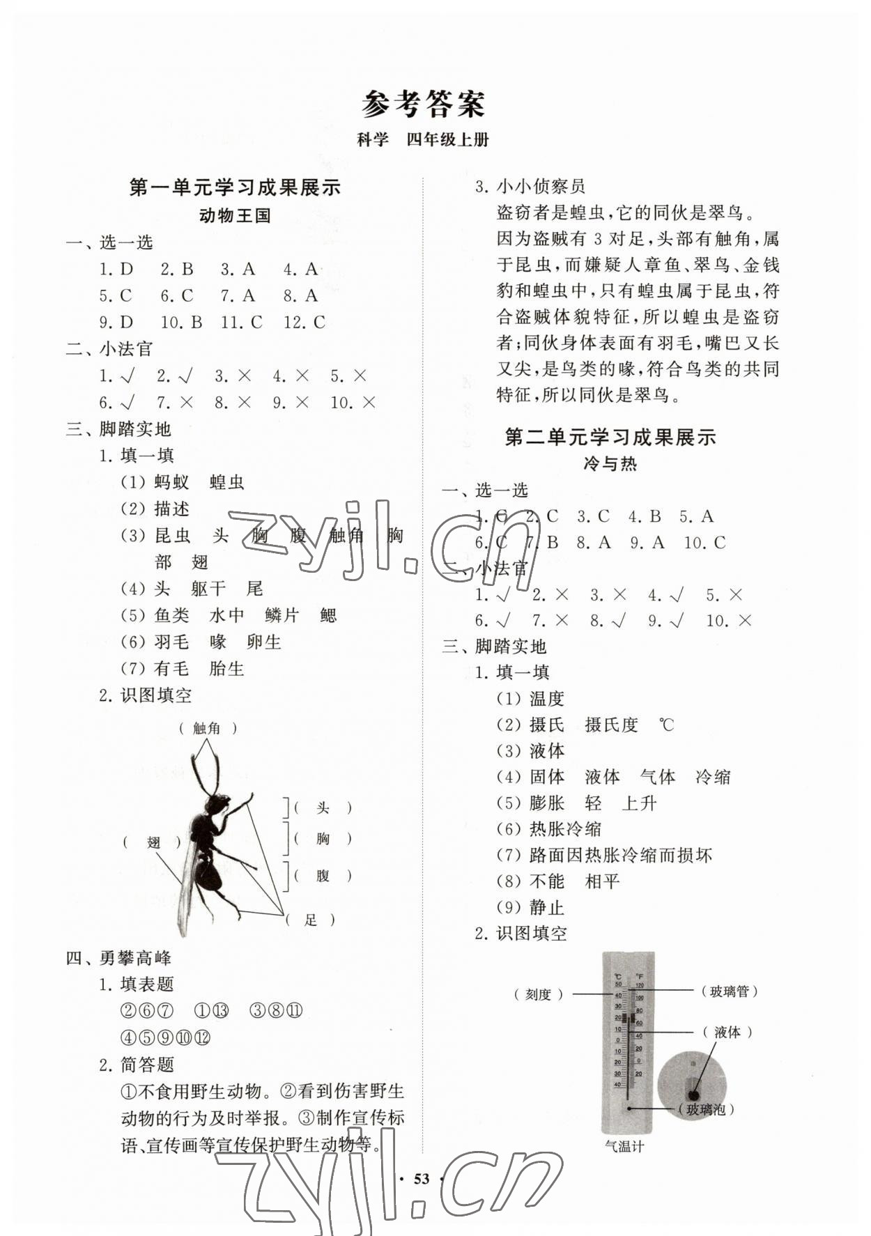 2023年同步練習(xí)冊(cè)分層指導(dǎo)四年級(jí)科學(xué)上冊(cè)青島版 第1頁