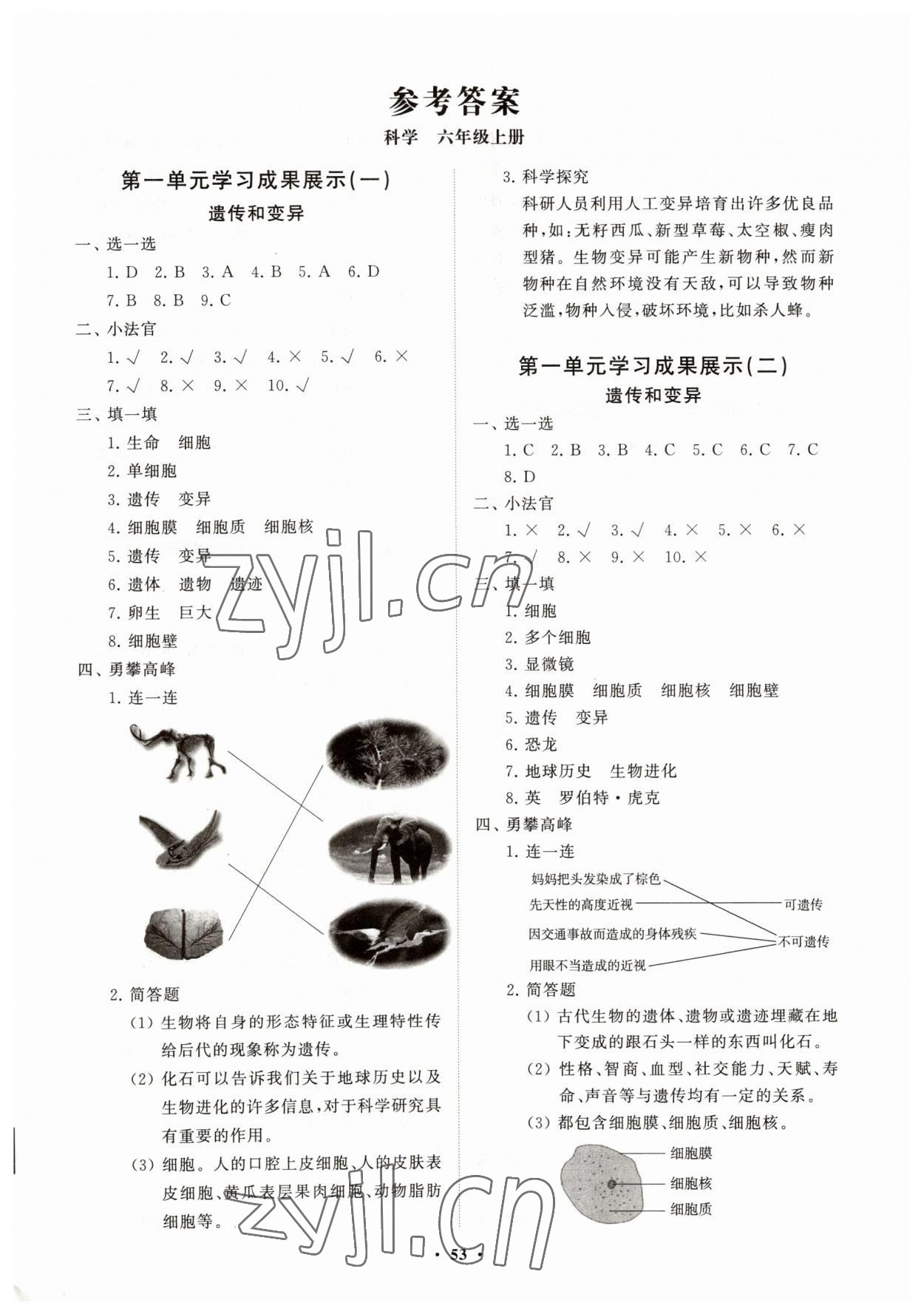 2023年同步練習(xí)冊分層指導(dǎo)六年級科學(xué)上冊青島版 第1頁