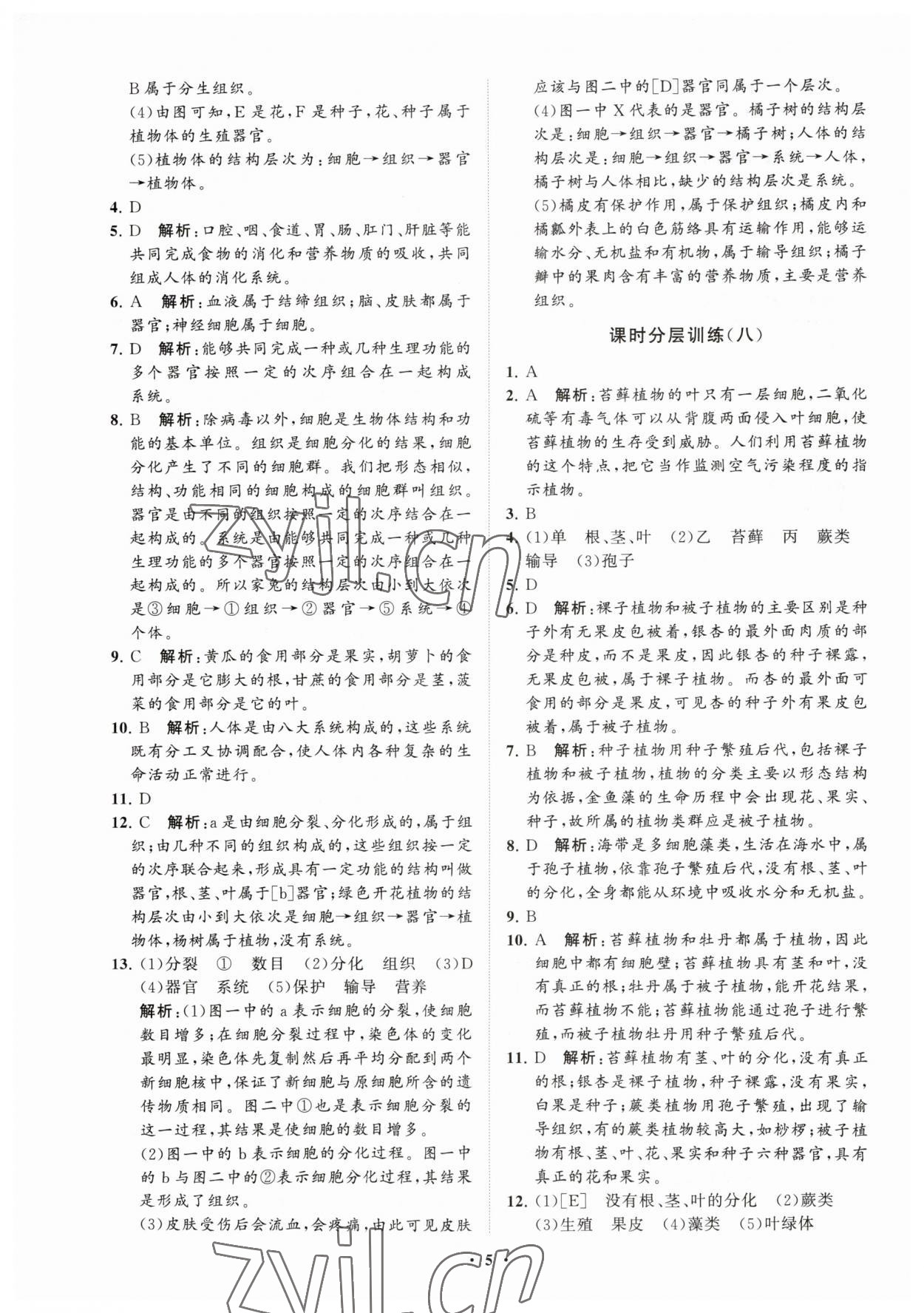 2023年同步練習(xí)冊分層卷七年級生物上冊濟南版 參考答案第5頁