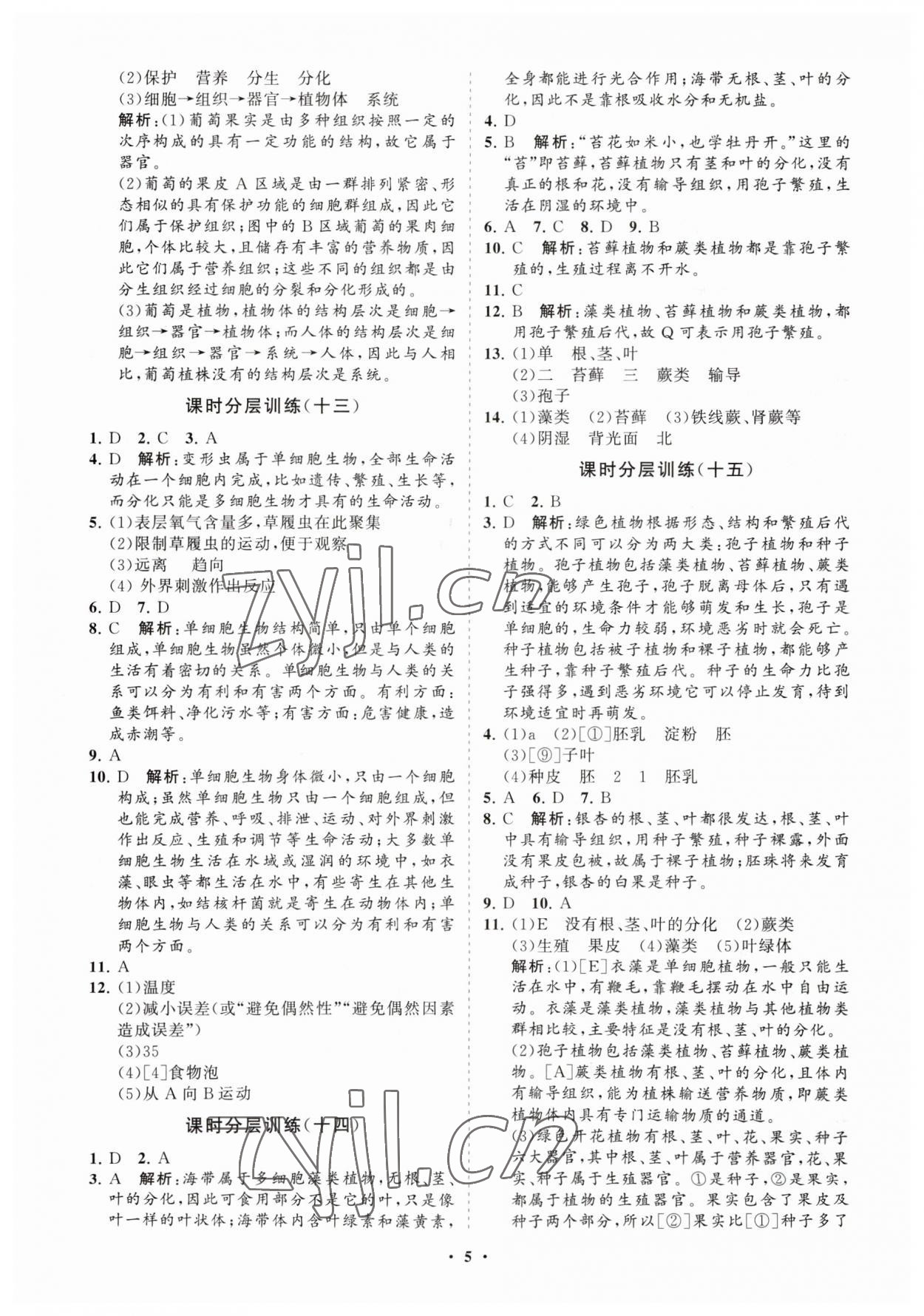 2023年初中同步练习册分层卷七年级生物学上册人教版 参考答案第5页