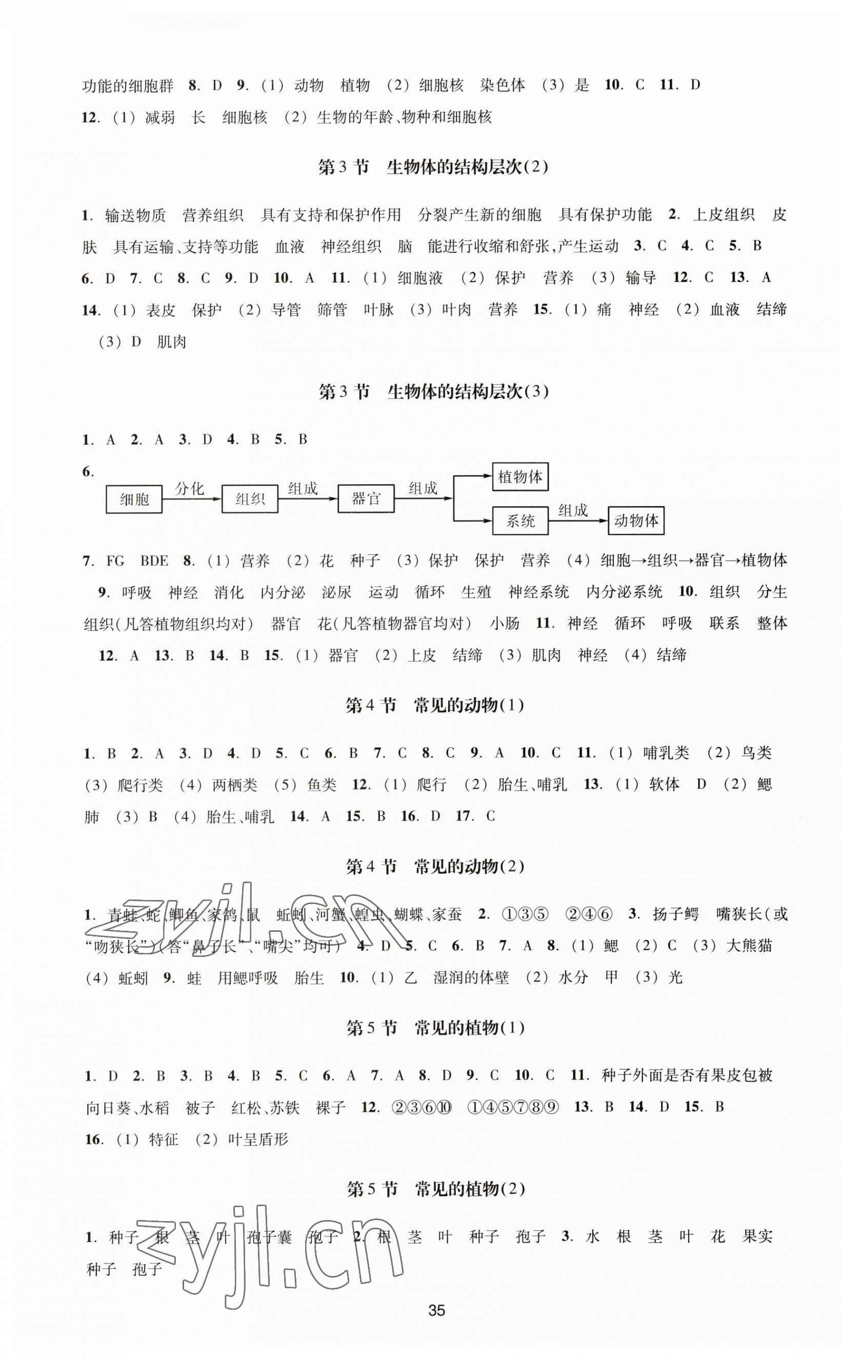 2023年學能評價七年級科學上冊浙教版 第3頁