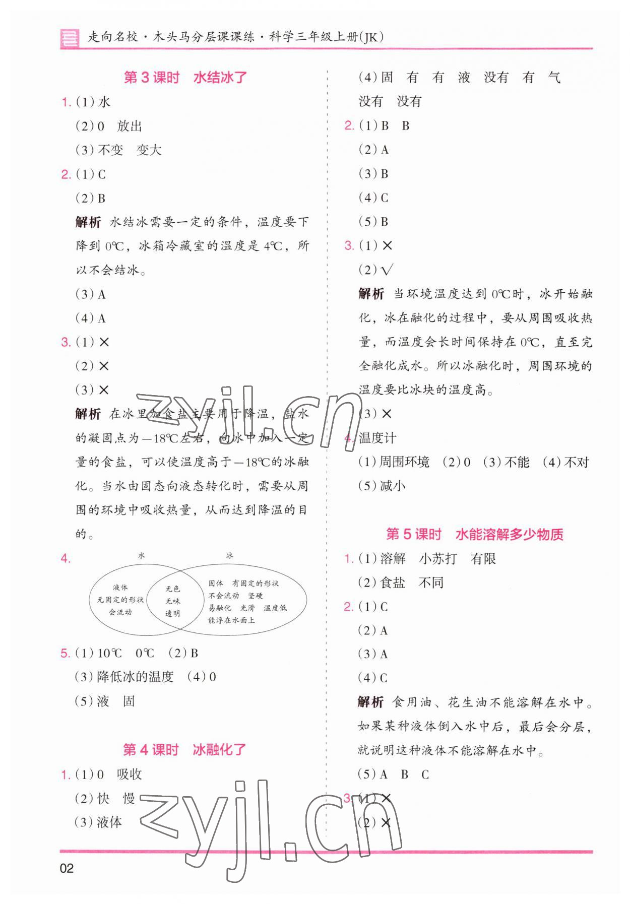 2023年木头马分层课课练三年级科学上册教科版 参考答案第2页