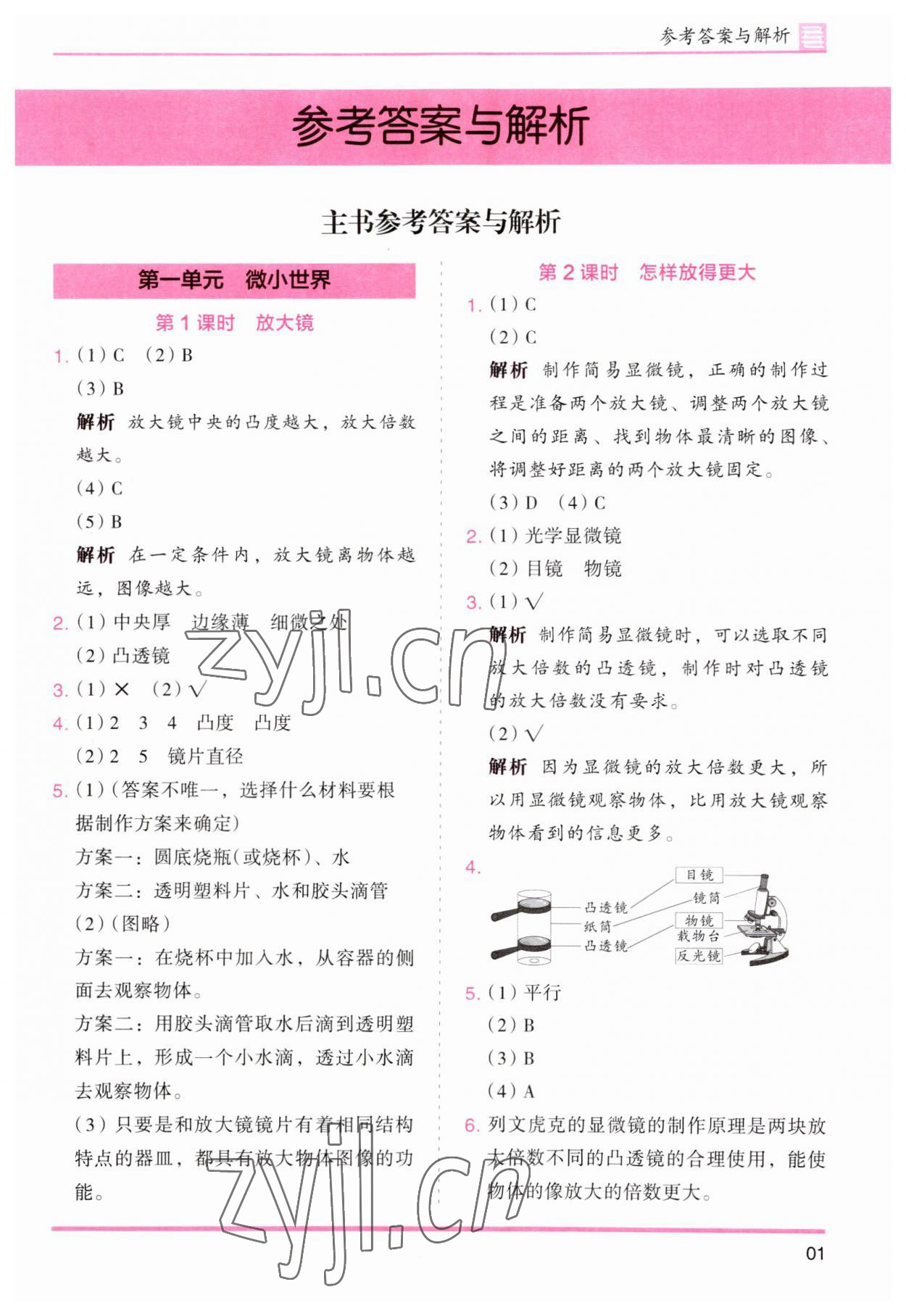 2023年木頭馬分層課課練六年級(jí)科學(xué)上冊(cè)教科版 參考答案第1頁(yè)