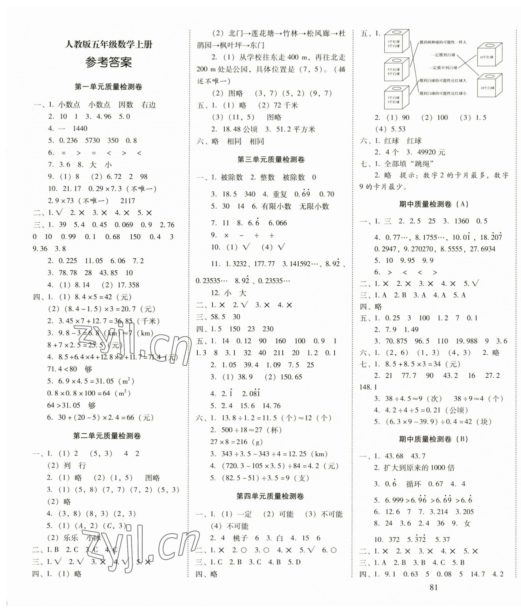 2023年云南师大附小一线名师核心试卷五年级数学上册人教版 第1页