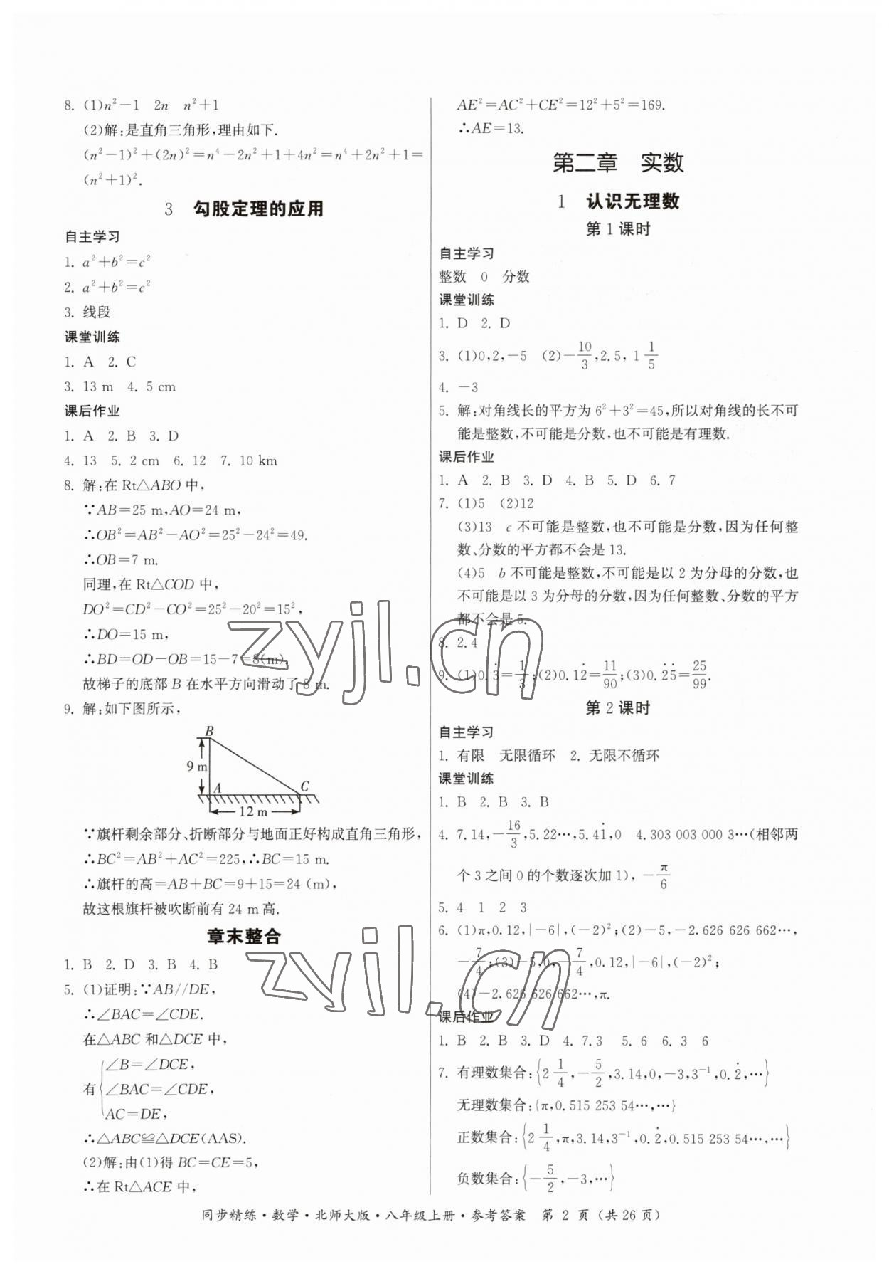 2023年同步精练广东人民出版社八年级数学上册北师大版 第2页