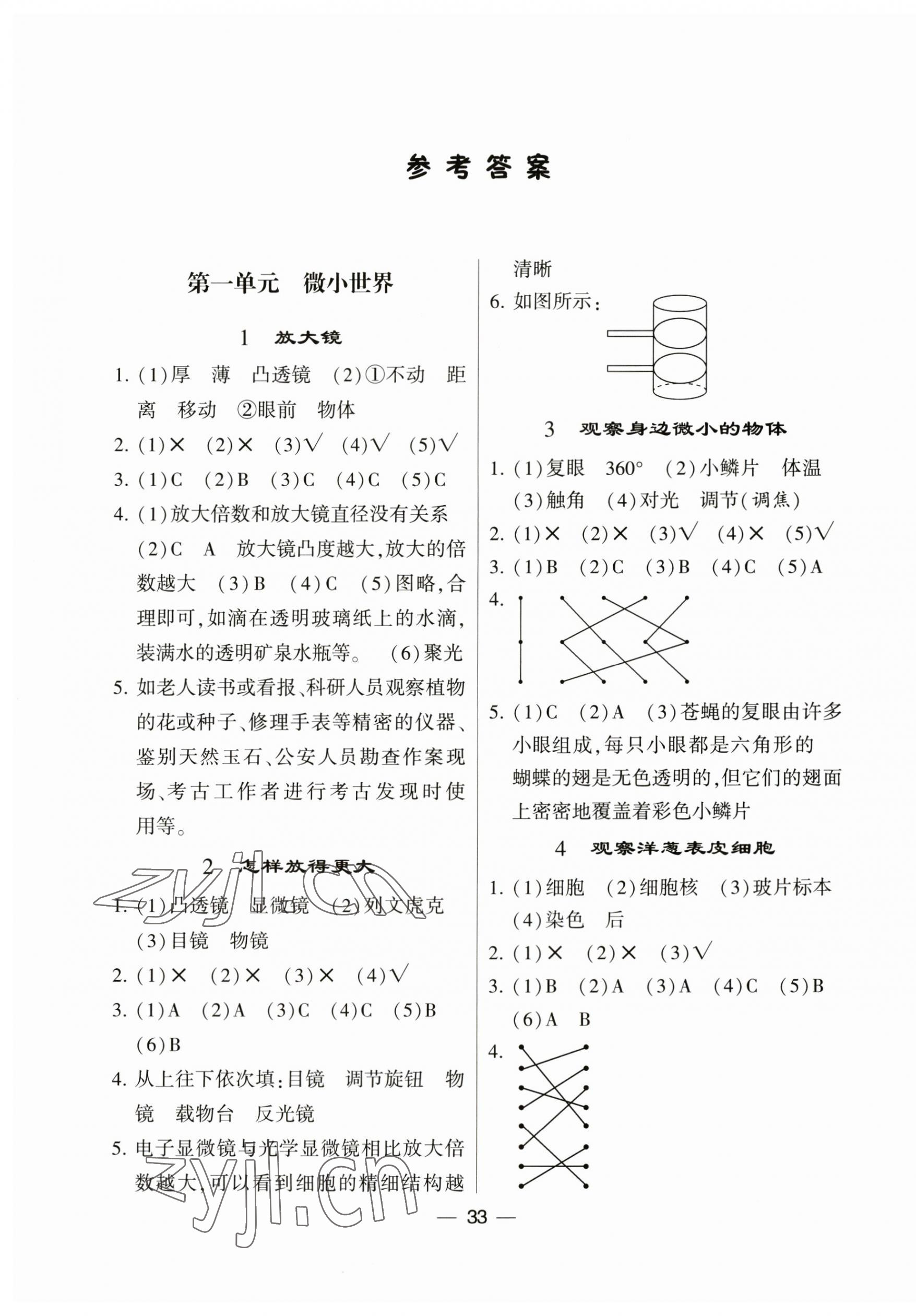 2023年經(jīng)綸學(xué)典棒棒堂六年級(jí)科學(xué)上冊(cè)教科版 第1頁(yè)