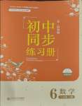 2023年同步練習(xí)冊北京師范大學(xué)出版社六年級數(shù)學(xué)上冊魯教版54制