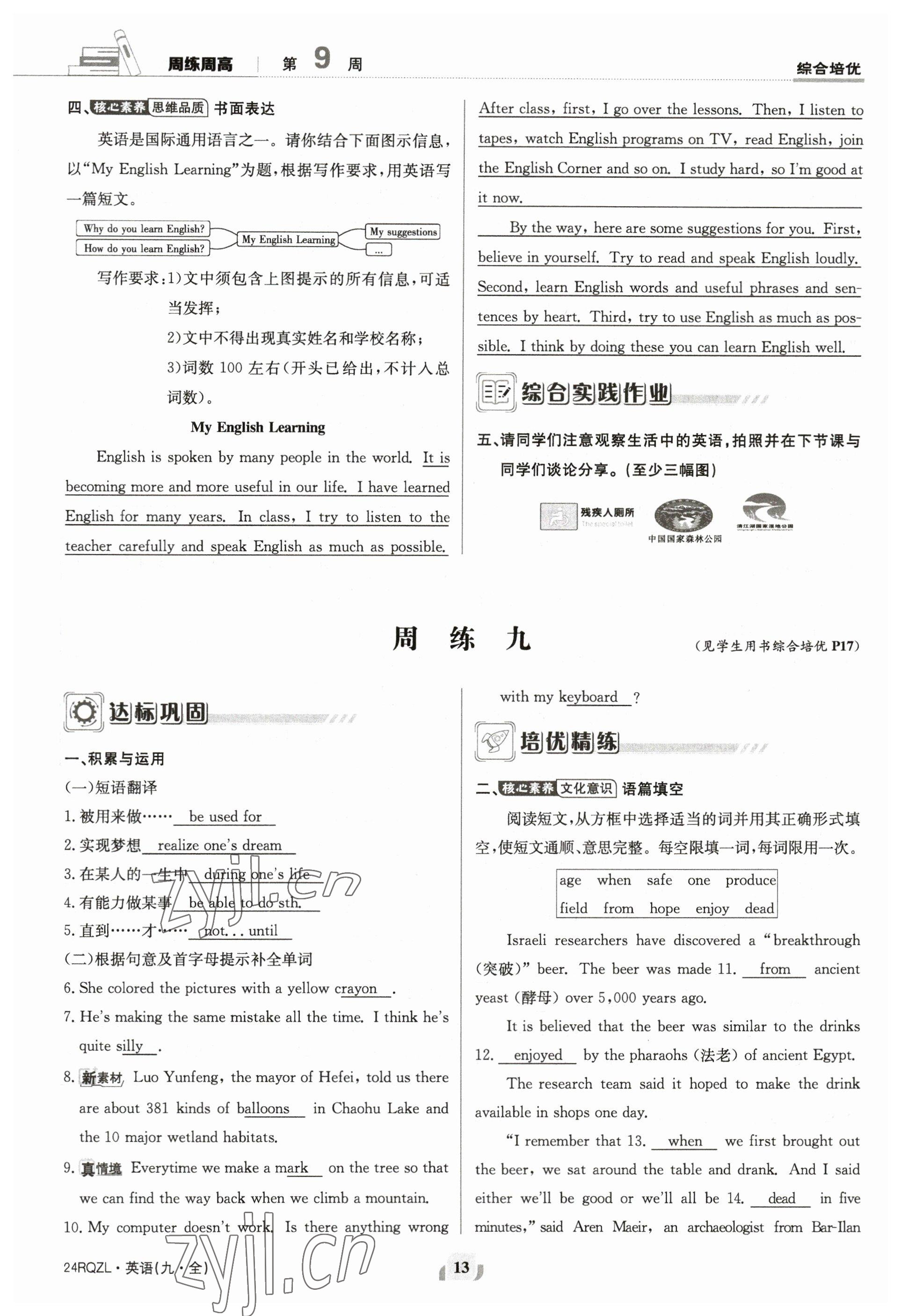 2023年日清周練九年級英語全一冊仁愛版 參考答案第13頁