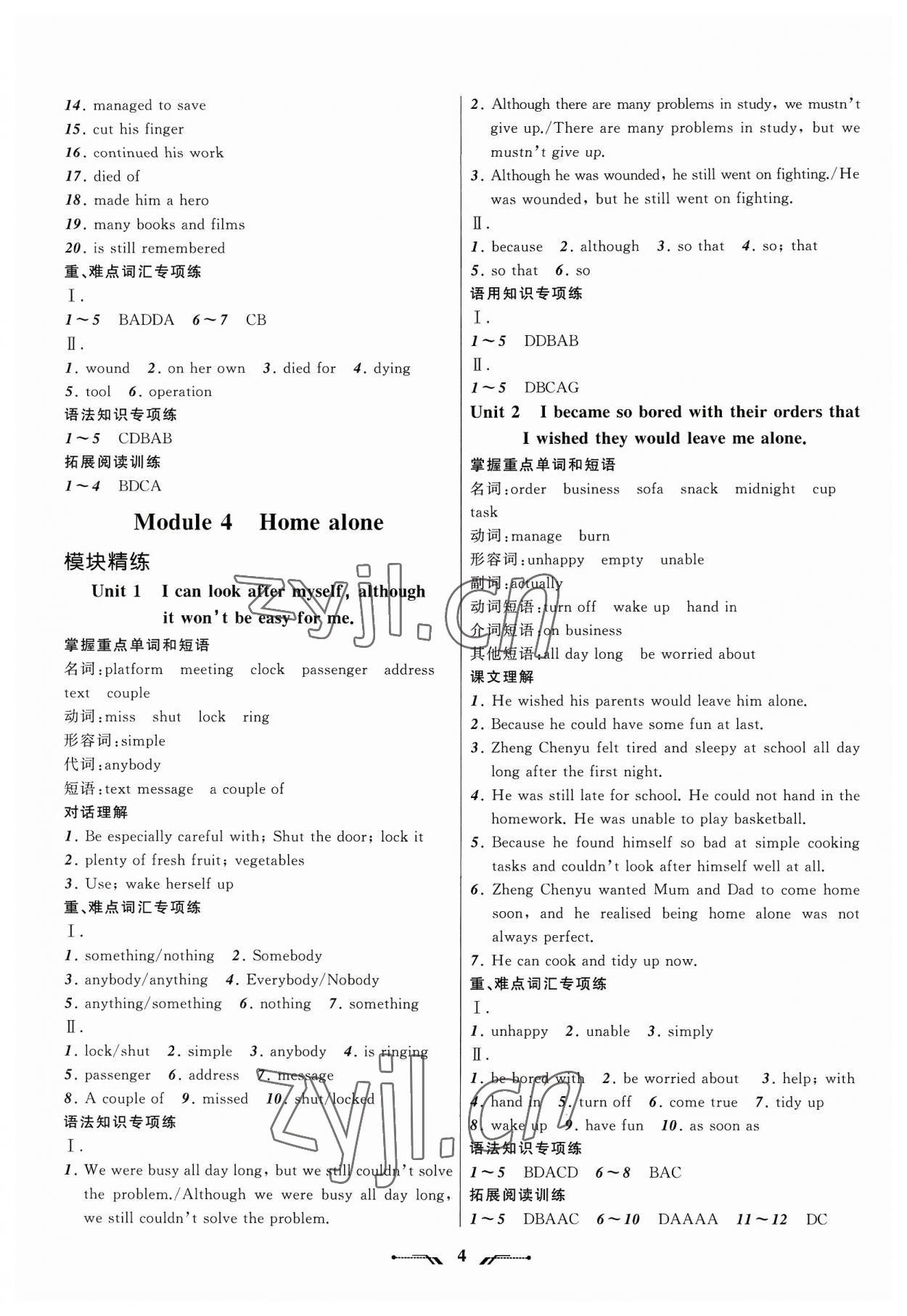 2023年新课程新教材导航学九年级英语上册外研版 第4页