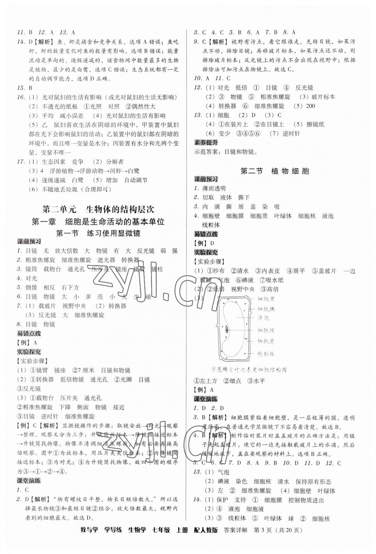 2023年教與學(xué)學(xué)導(dǎo)練七年級(jí)生物上冊(cè)人教版 第3頁