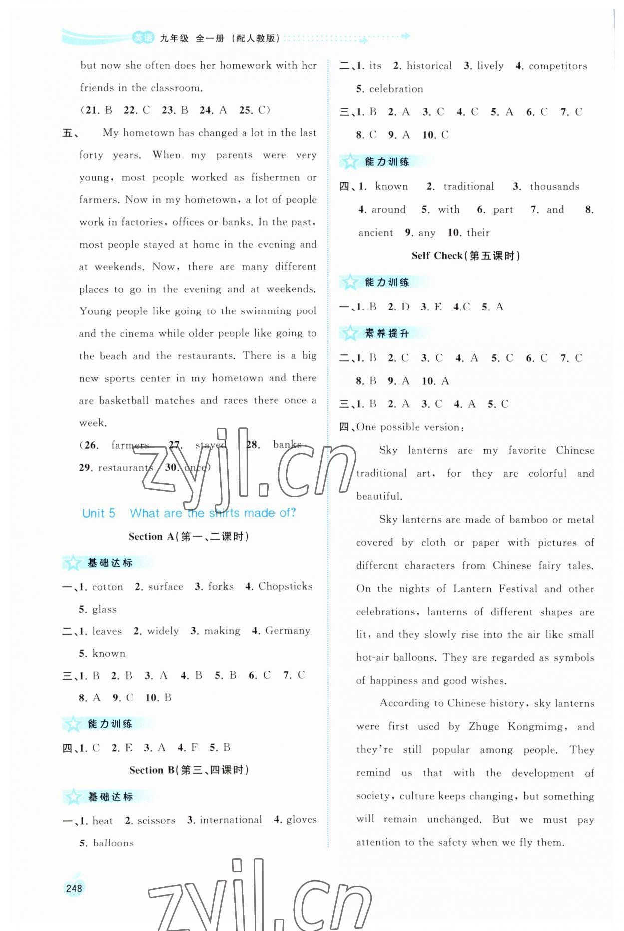 2023年新課程學(xué)習與測評同步學(xué)習九年級英語全一冊人教版 第10頁