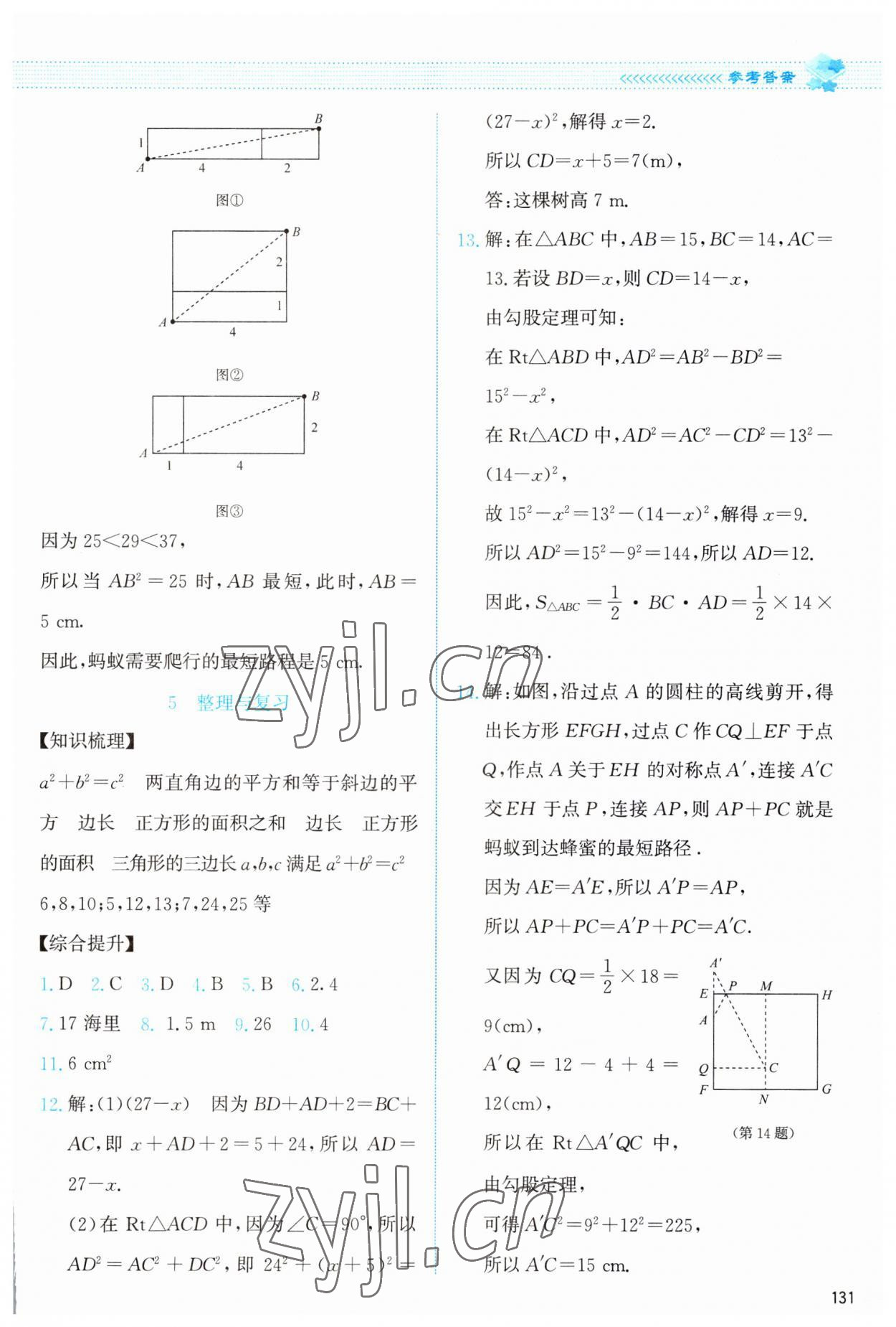 2023年課堂精練八年級數(shù)學(xué)上冊北師大版 第3頁