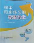 2023年同步練習(xí)冊(cè)智慧作業(yè)九年級(jí)化學(xué)上冊(cè)人教版