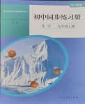 2023年同步練習(xí)冊人民教育出版社九年級化學(xué)上冊人教版山東專版