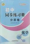 2023年同步練習冊分層卷九年級化學全一冊魯教版54制