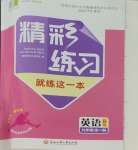 2023年精彩練習(xí)就練這一本九年級英語全一冊人教版評議教輔