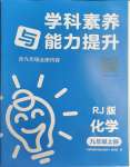 2023年學(xué)科素養(yǎng)與能力提升九年級(jí)化學(xué)上冊人教版