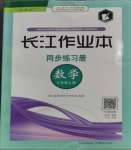 2023年長江作業(yè)本同步練習冊七年級數(shù)學上冊人教版