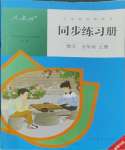 2023年同步練習(xí)冊(cè)五年級(jí)數(shù)學(xué)上冊(cè)人教版新疆專版人民教育出版社