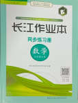 2023年長江作業(yè)本同步練習(xí)冊九年級數(shù)學(xué)上冊人教版