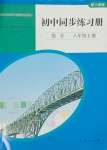 2023年同步練習(xí)冊人民教育出版社八年級(jí)數(shù)學(xué)上冊人教版山東專版