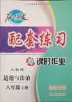 2023年名師點(diǎn)撥配套練習(xí)課時作業(yè)八年級道德與法治上冊人教版